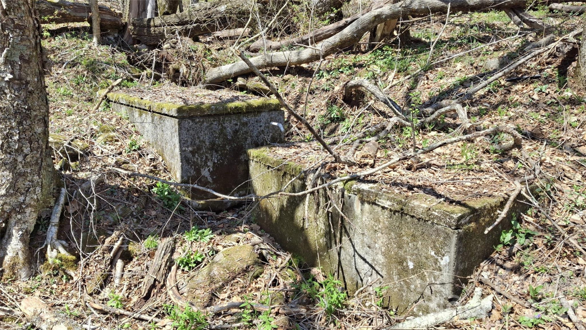 00 Big Ridge Road - Photo 24