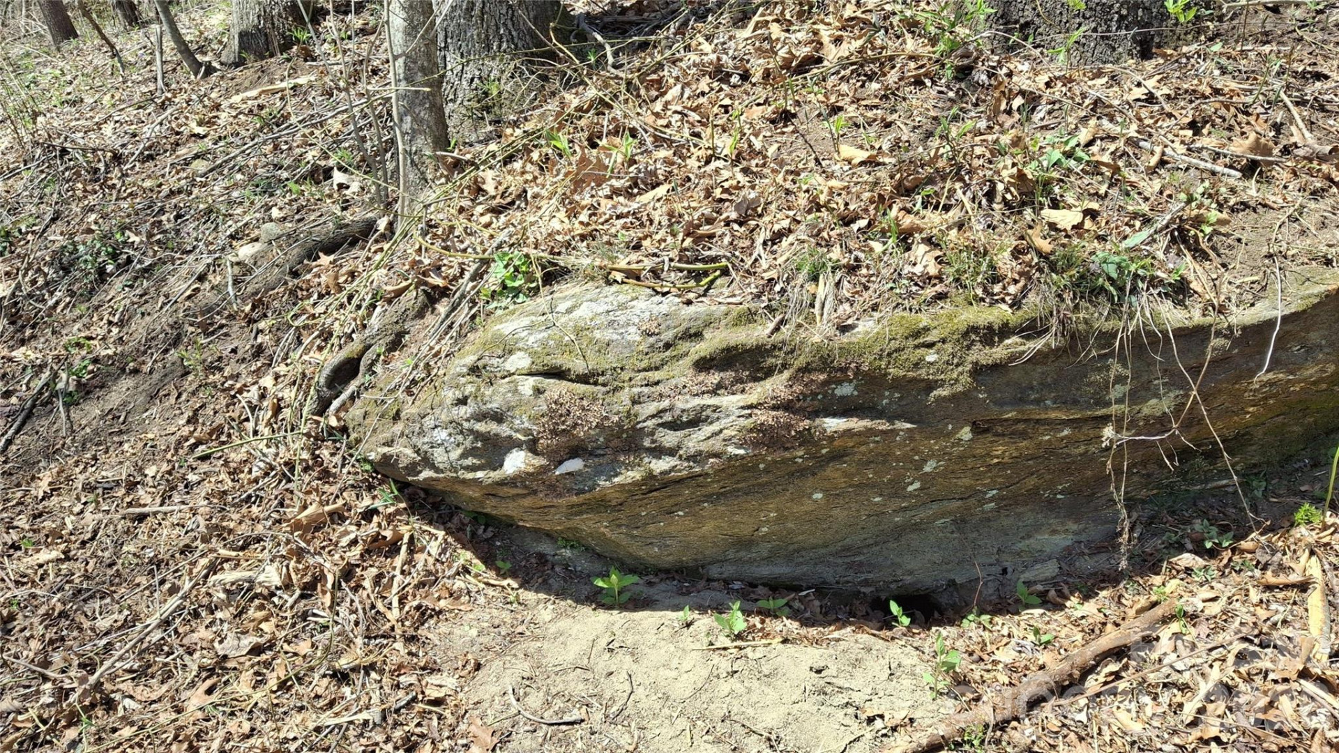 00 Big Ridge Road - Photo 27