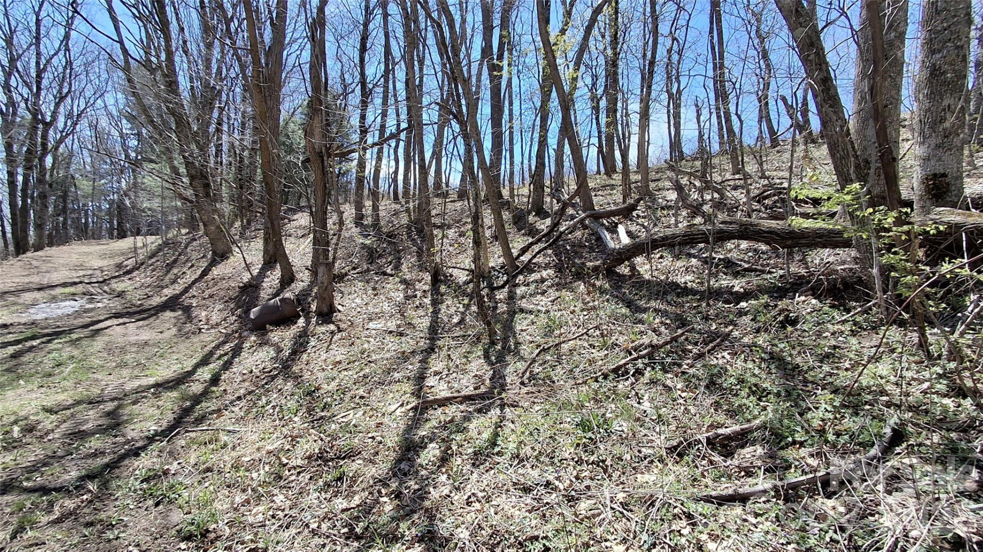 00 Big Ridge Road - Photo 4