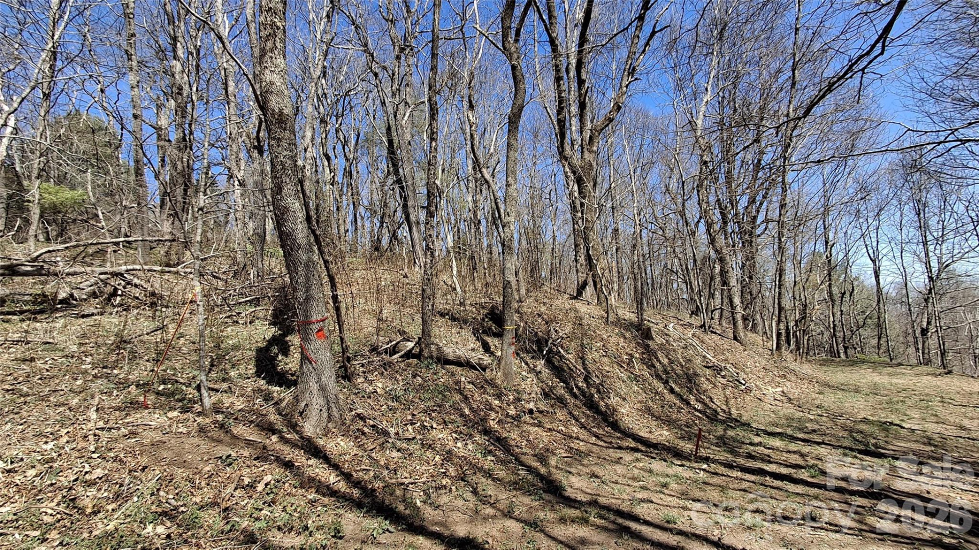 00 Big Ridge Road - Photo 5