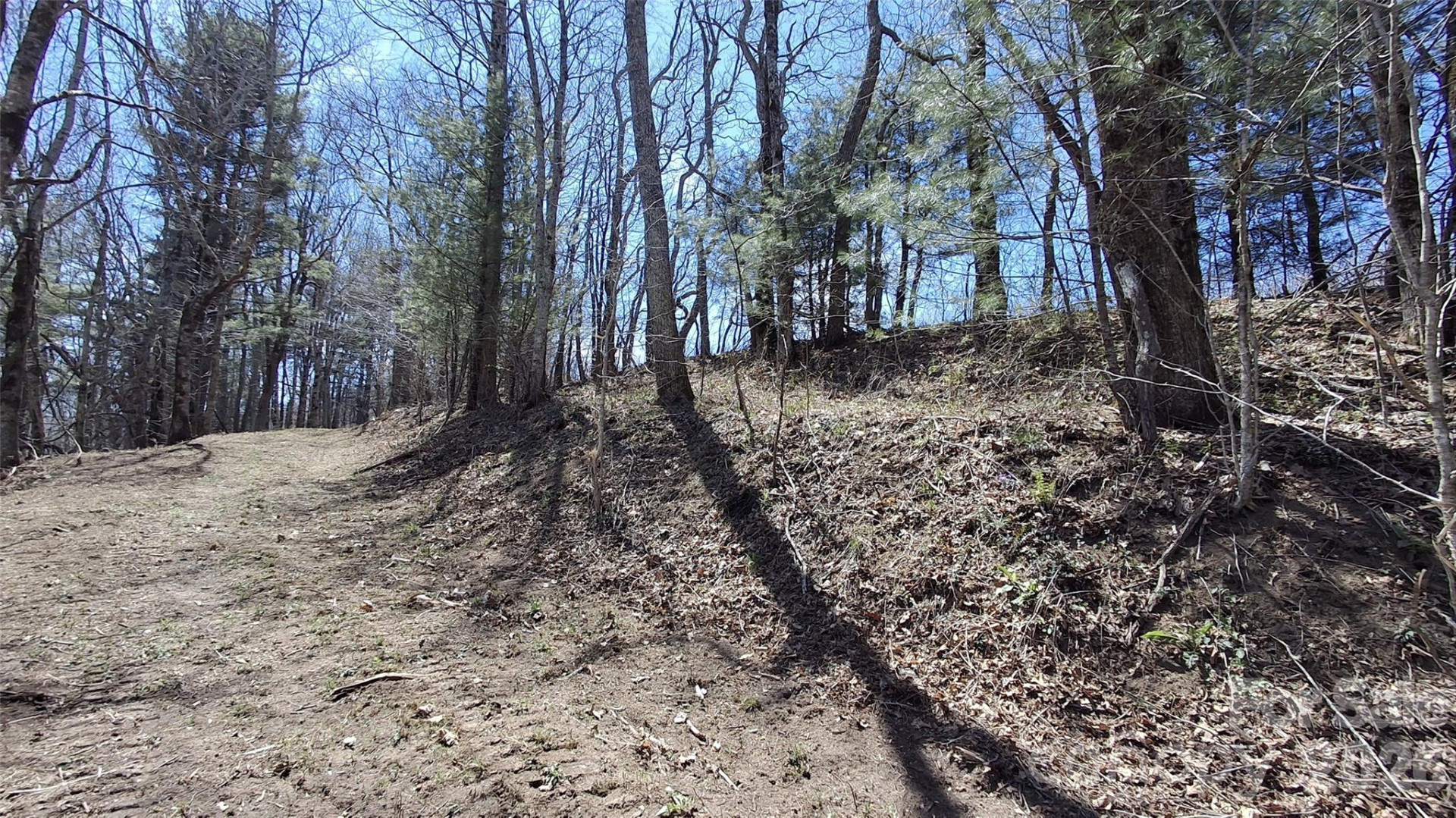 00 Big Ridge Road - Photo 6