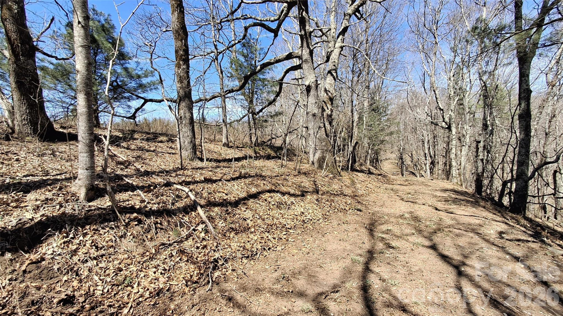 00 Big Ridge Road - Photo 8