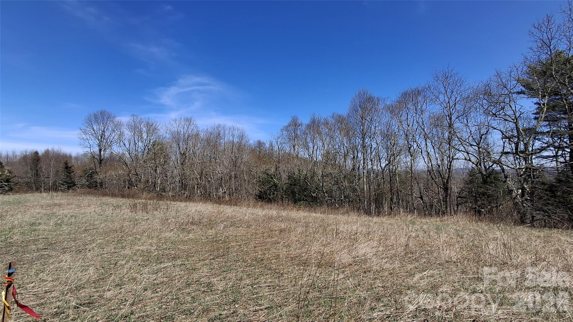 00 Big Ridge Road - Photo 9