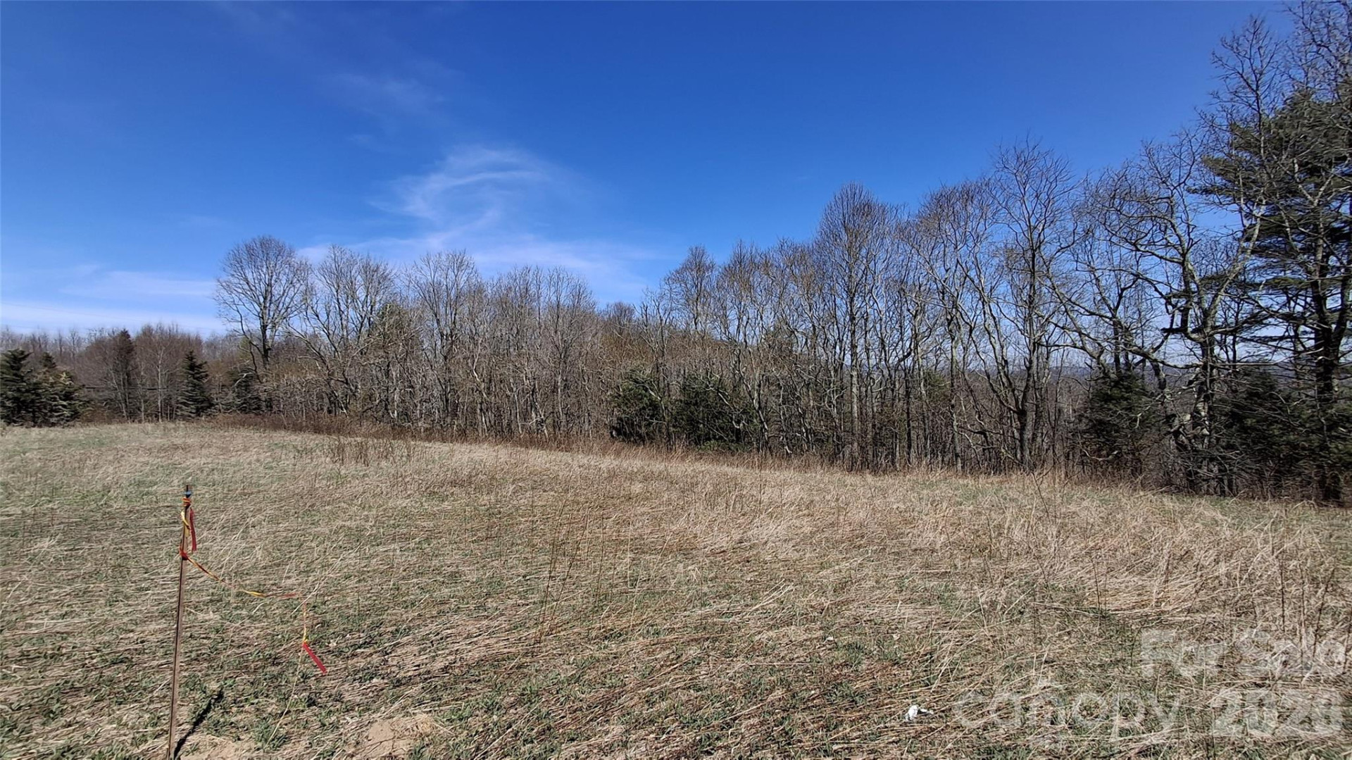 00 Big Ridge Road - Photo 10