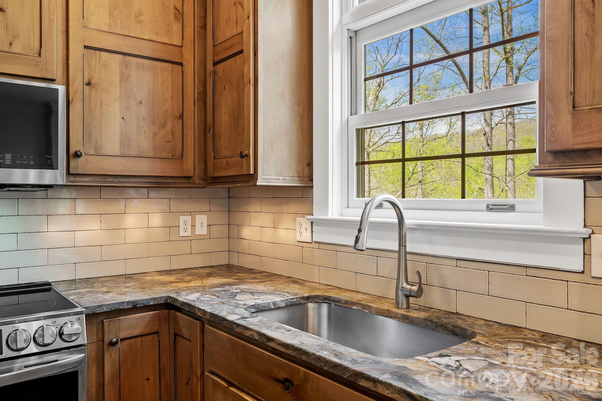 22 Lone Coyote Ridge - Photo 12