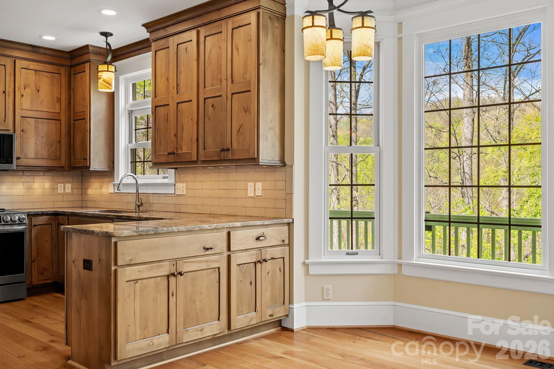 22 Lone Coyote Ridge - Photo 14