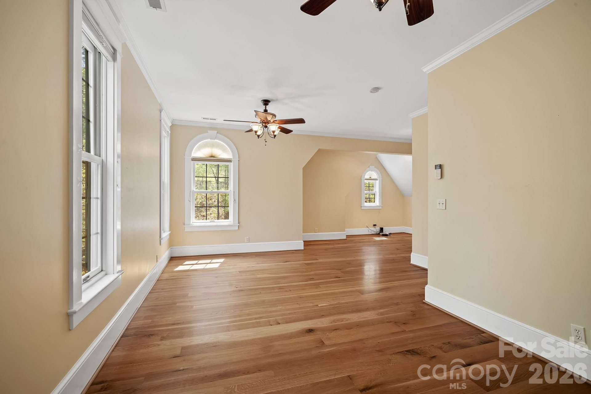 22 Lone Coyote Ridge - Photo 18