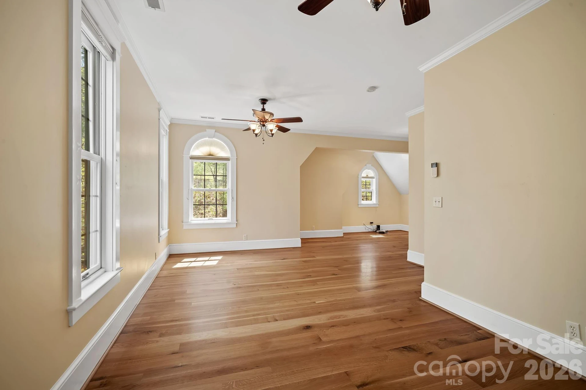 22 Lone Coyote Ridge - Photo 18