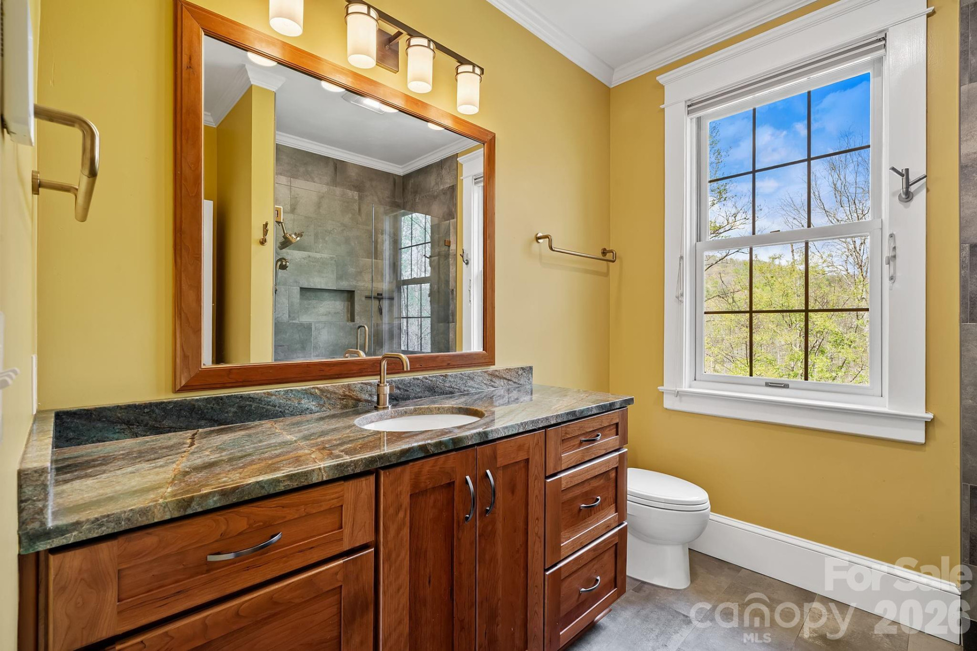 22 Lone Coyote Ridge - Photo 19