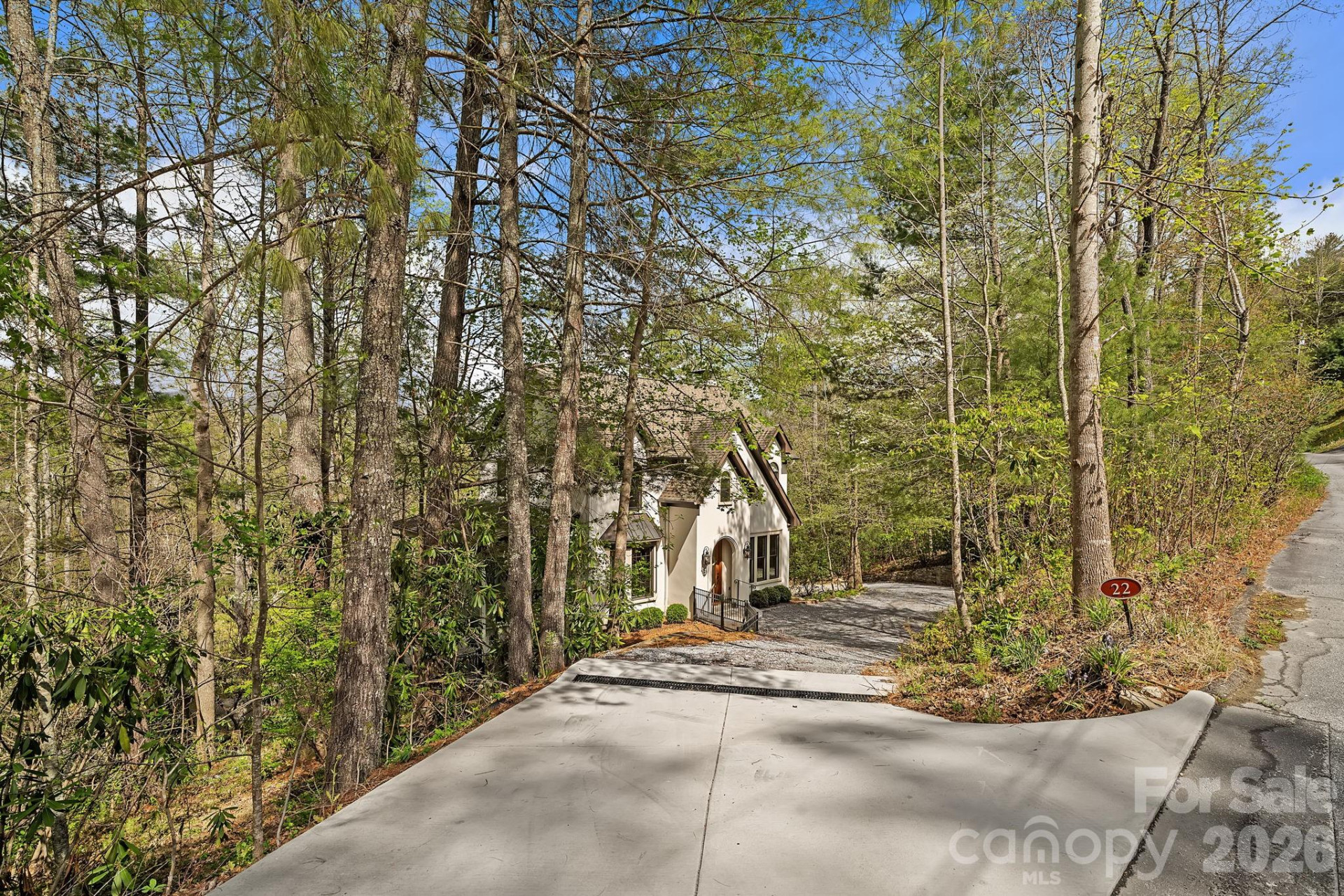 22 Lone Coyote Ridge - Photo 34