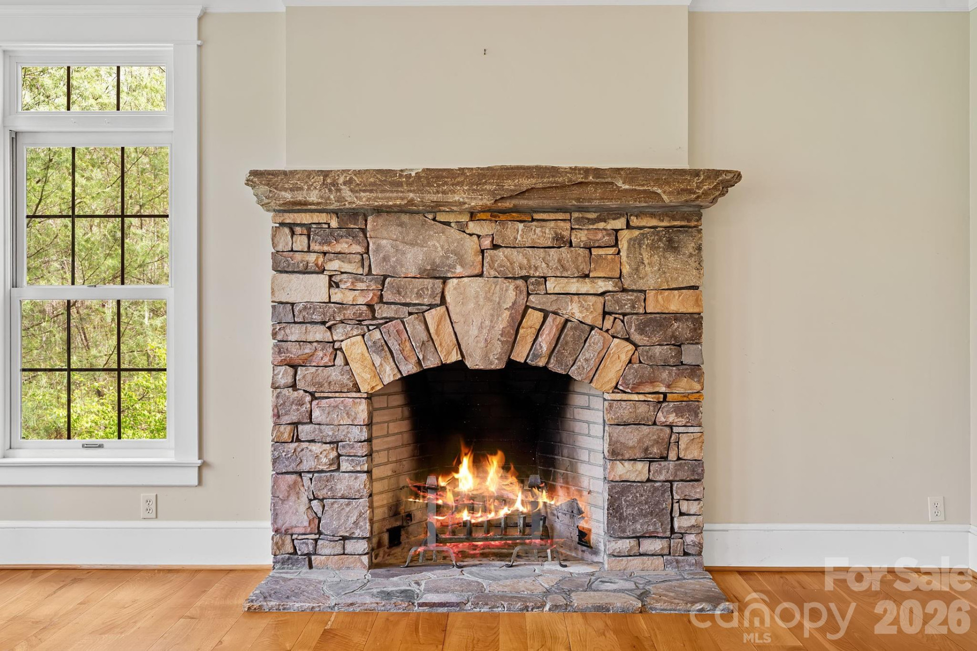 22 Lone Coyote Ridge - Photo 8