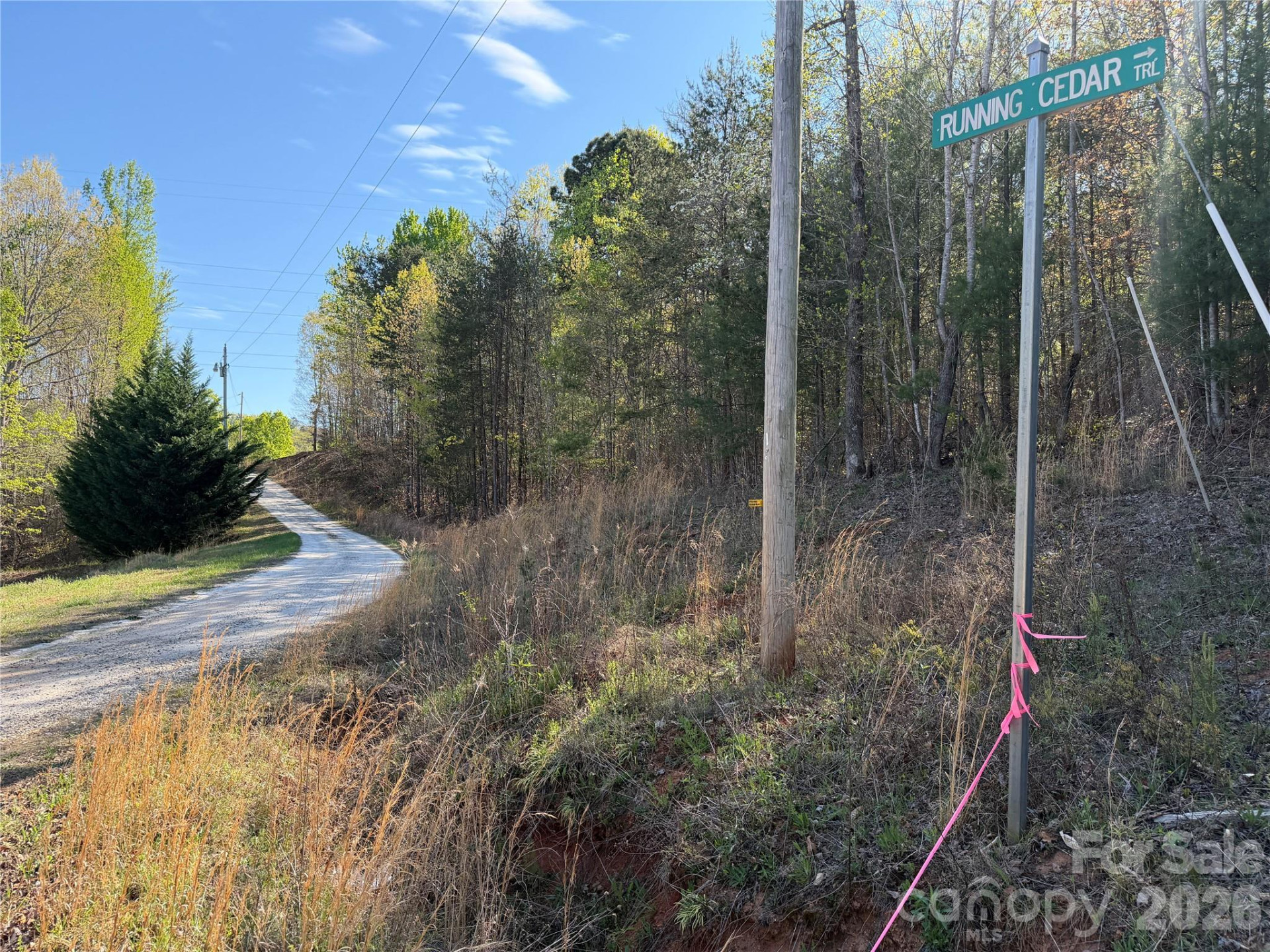 0 Running Cedar Trail - Photo 2
