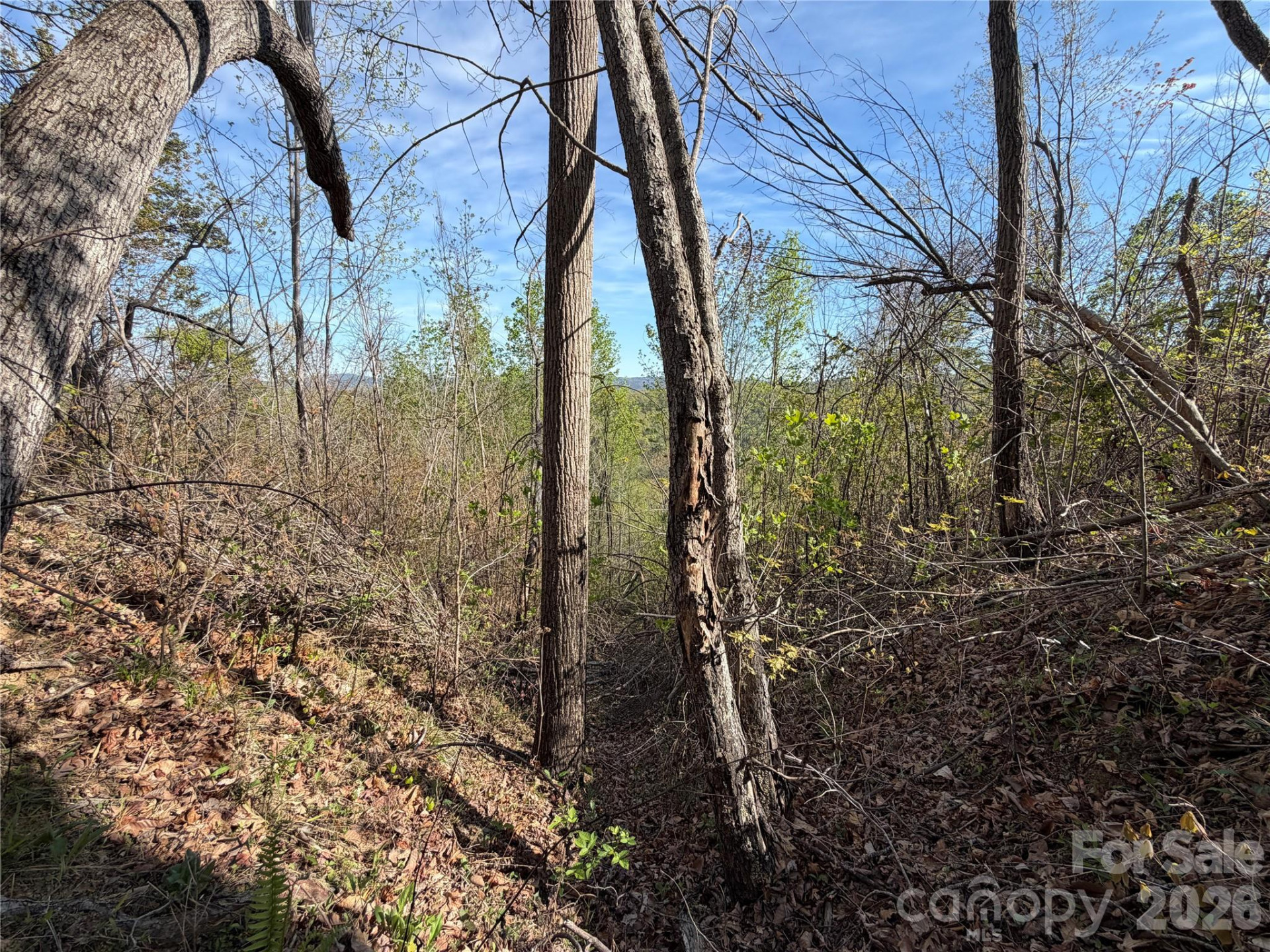 0 Running Cedar Trail - Photo 11