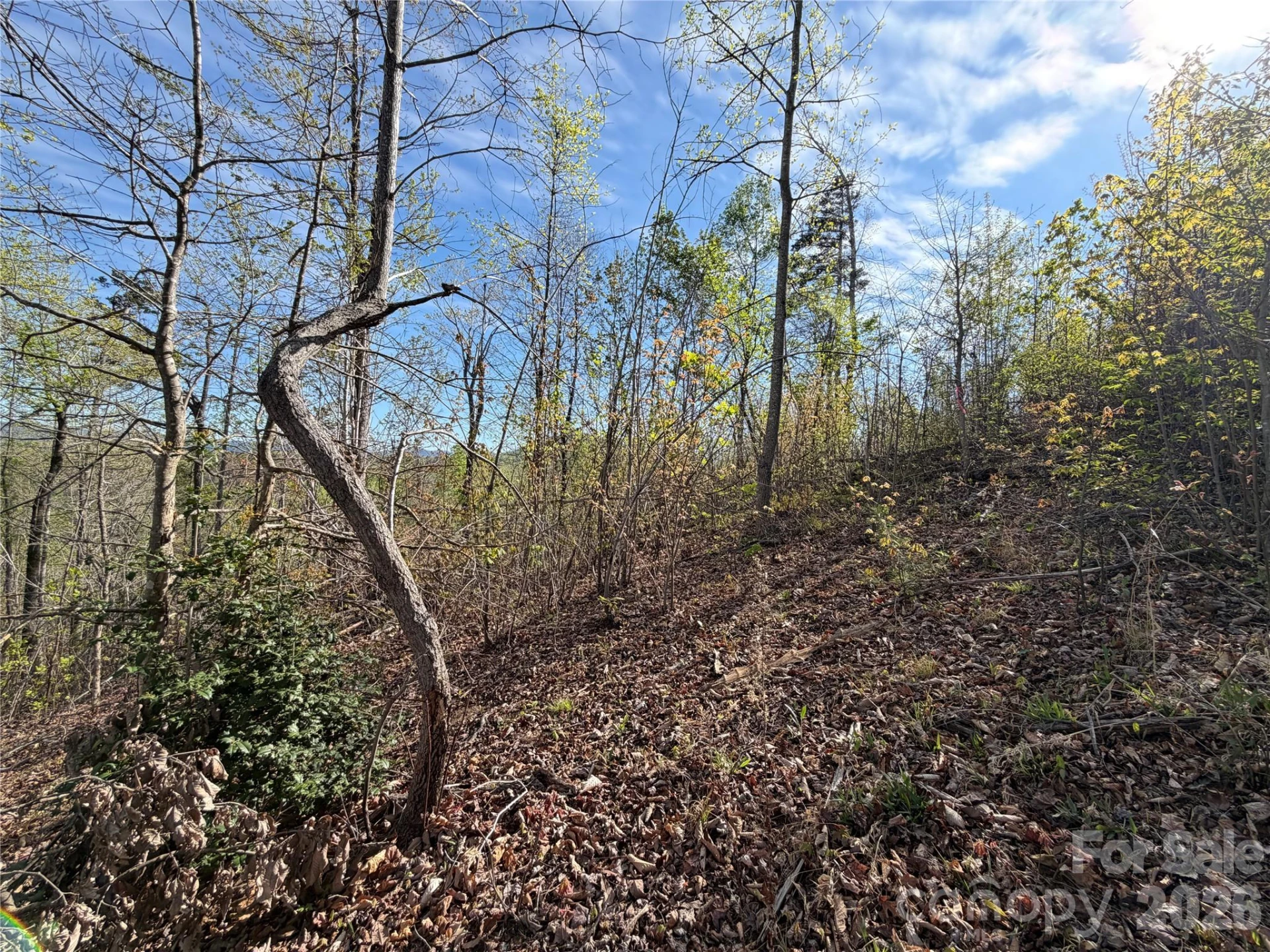 0 Denton Avenue - Photo 12