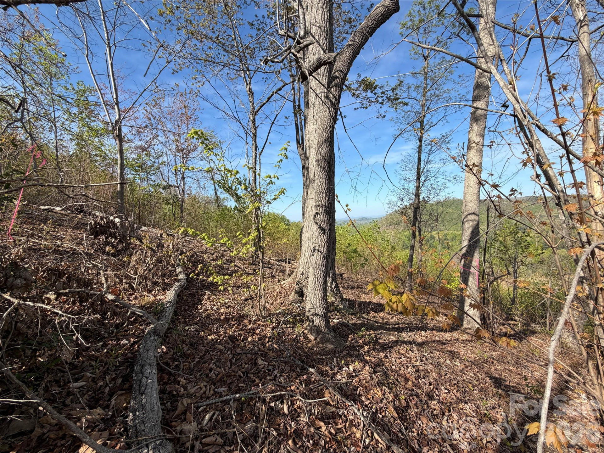 0 Running Cedar Trail - Photo 13