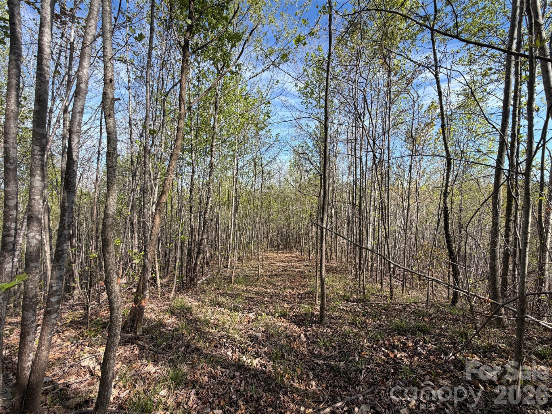 0 Running Cedar Trail - Photo 14