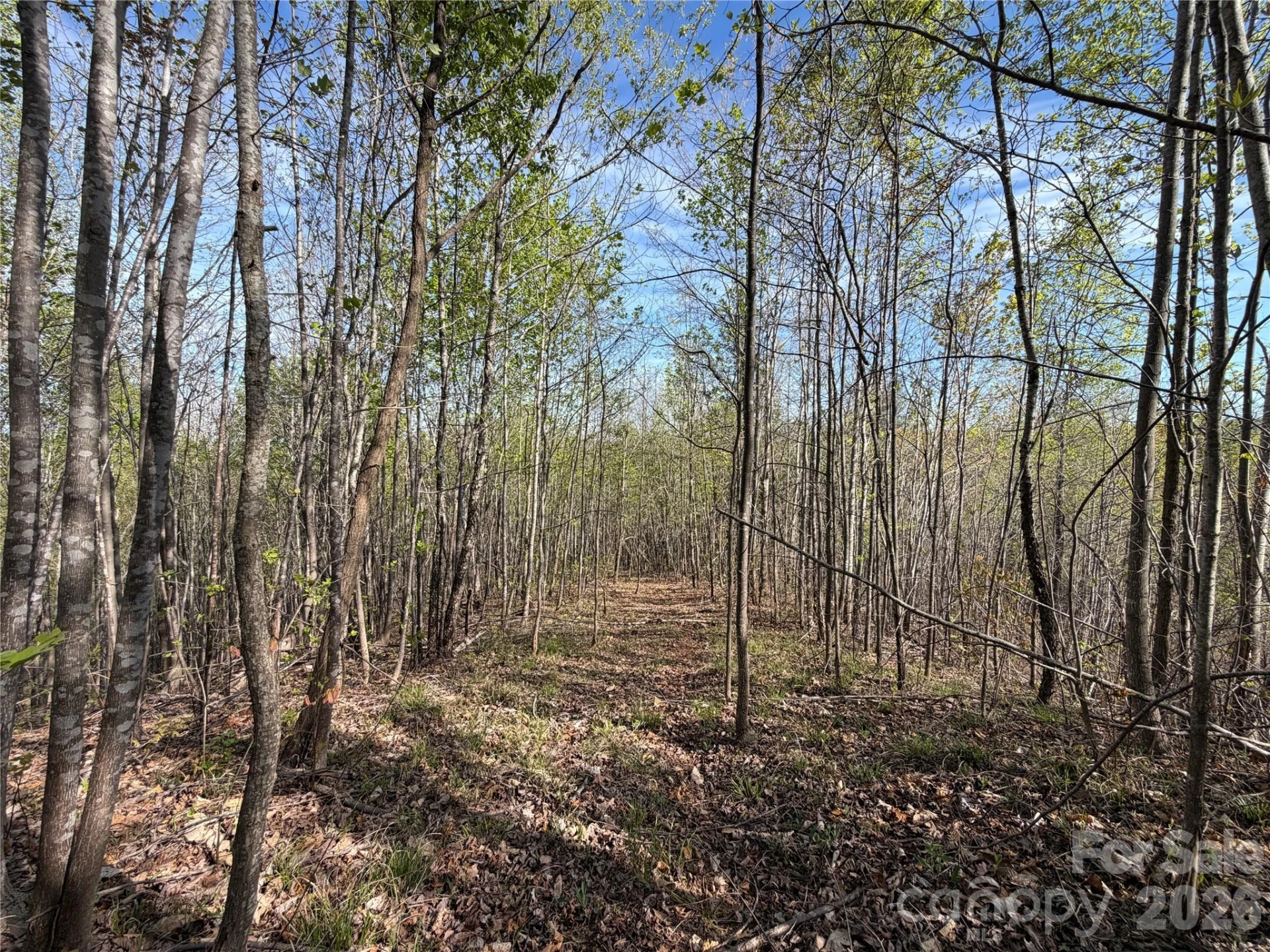 0 Denton Avenue - Photo 14