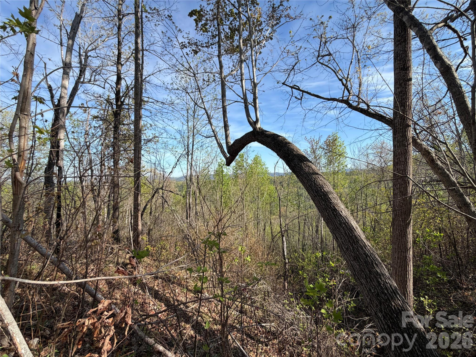 0 Running Cedar Trail - Photo 15