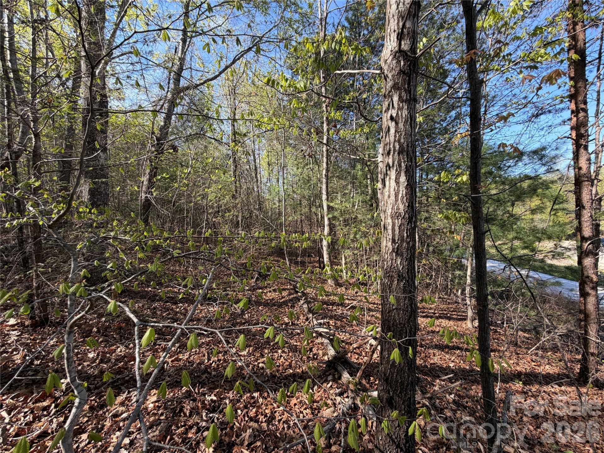 0 Running Cedar Trail - Photo 17