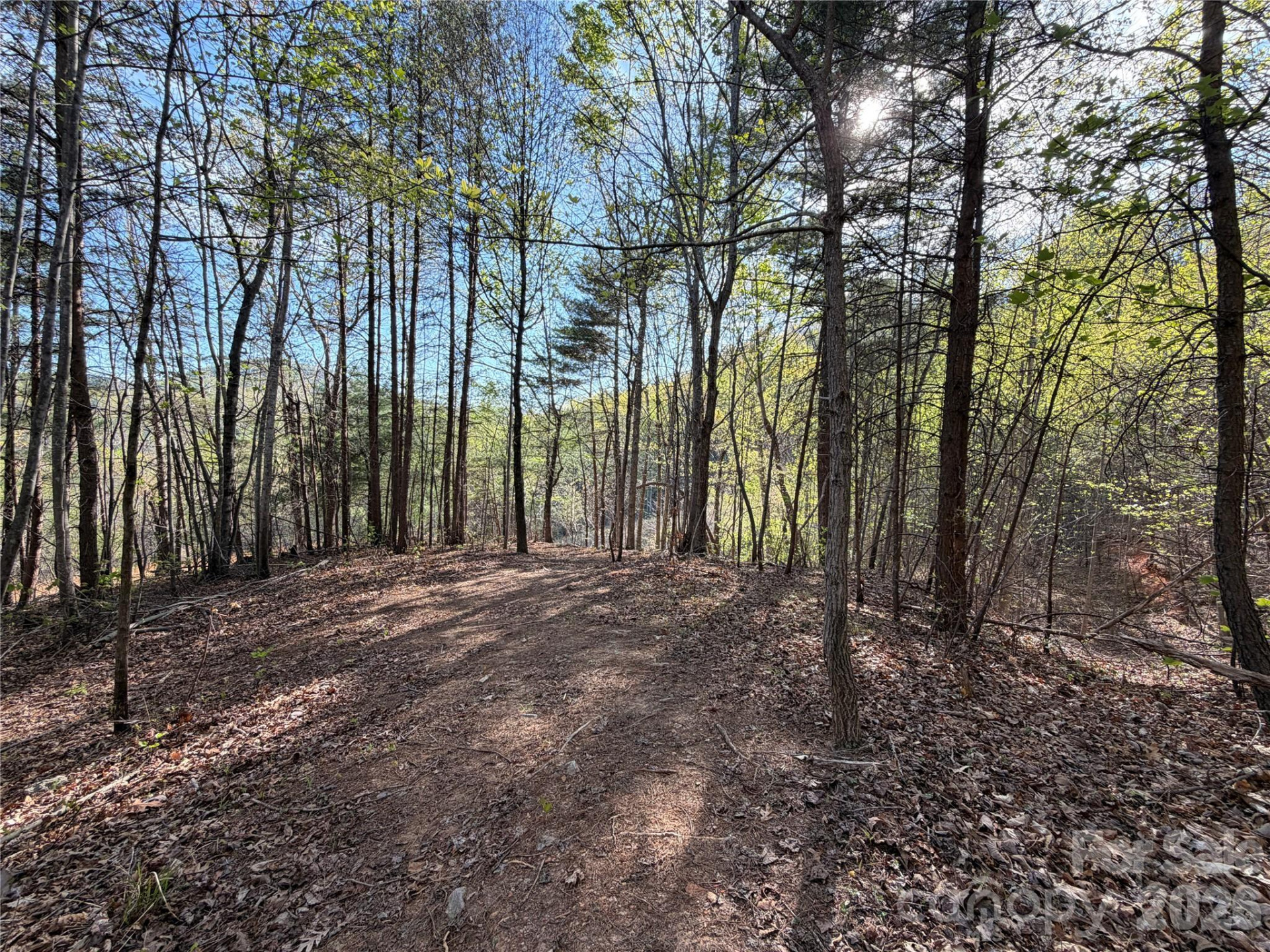 0 Running Cedar Trail - Photo 18