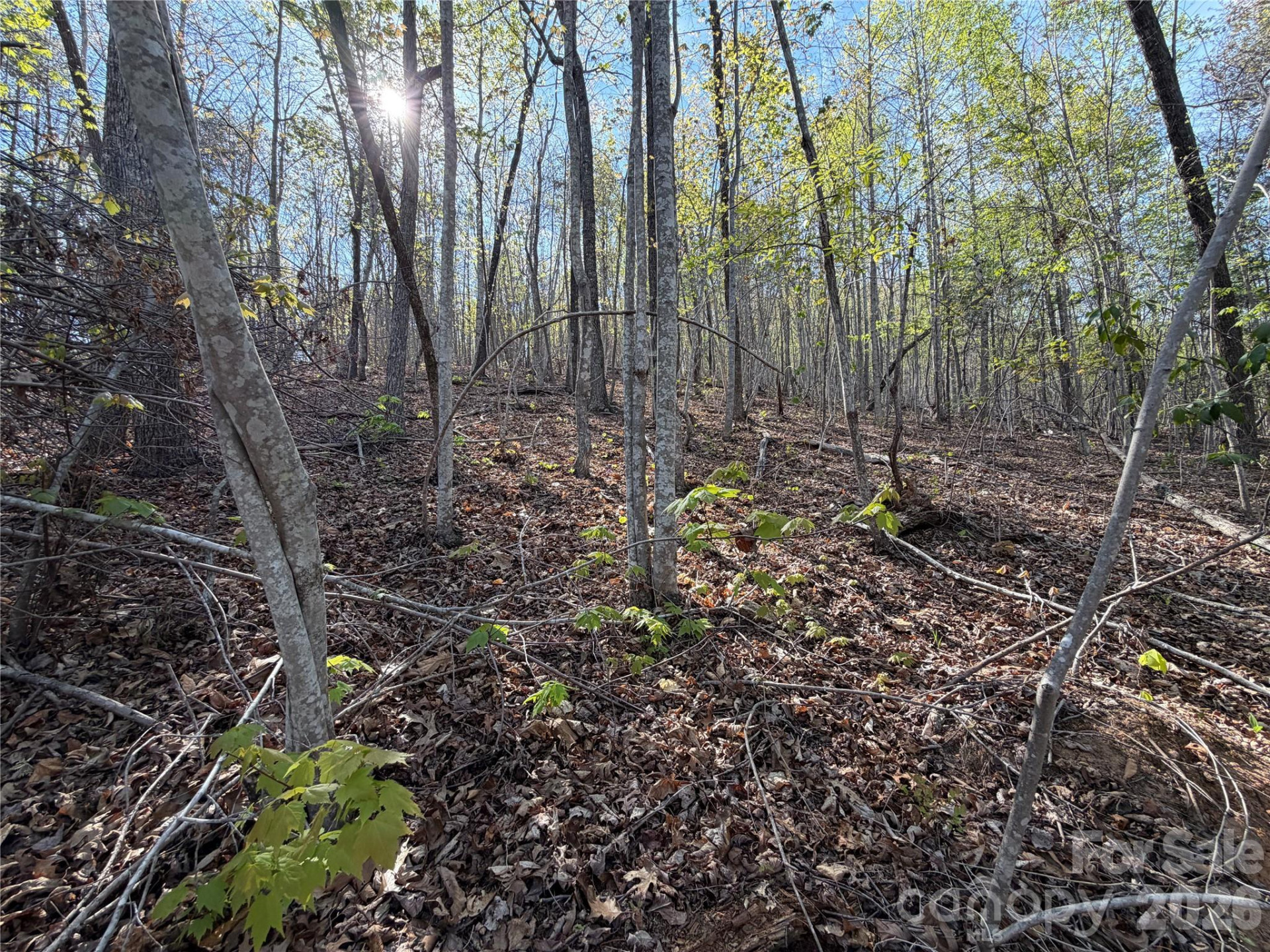 0 Running Cedar Trail - Photo 19