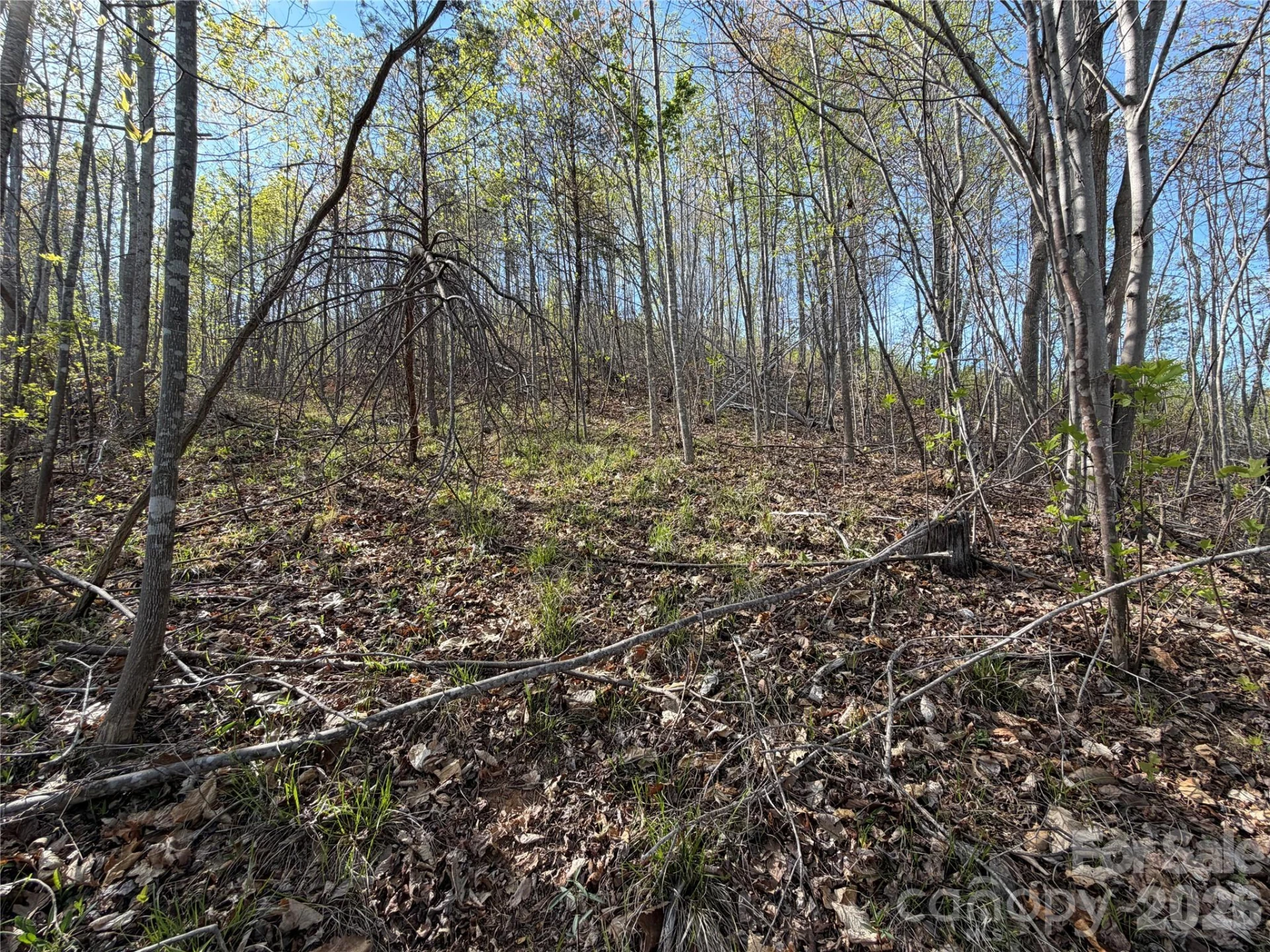 0 Denton Avenue - Photo 20