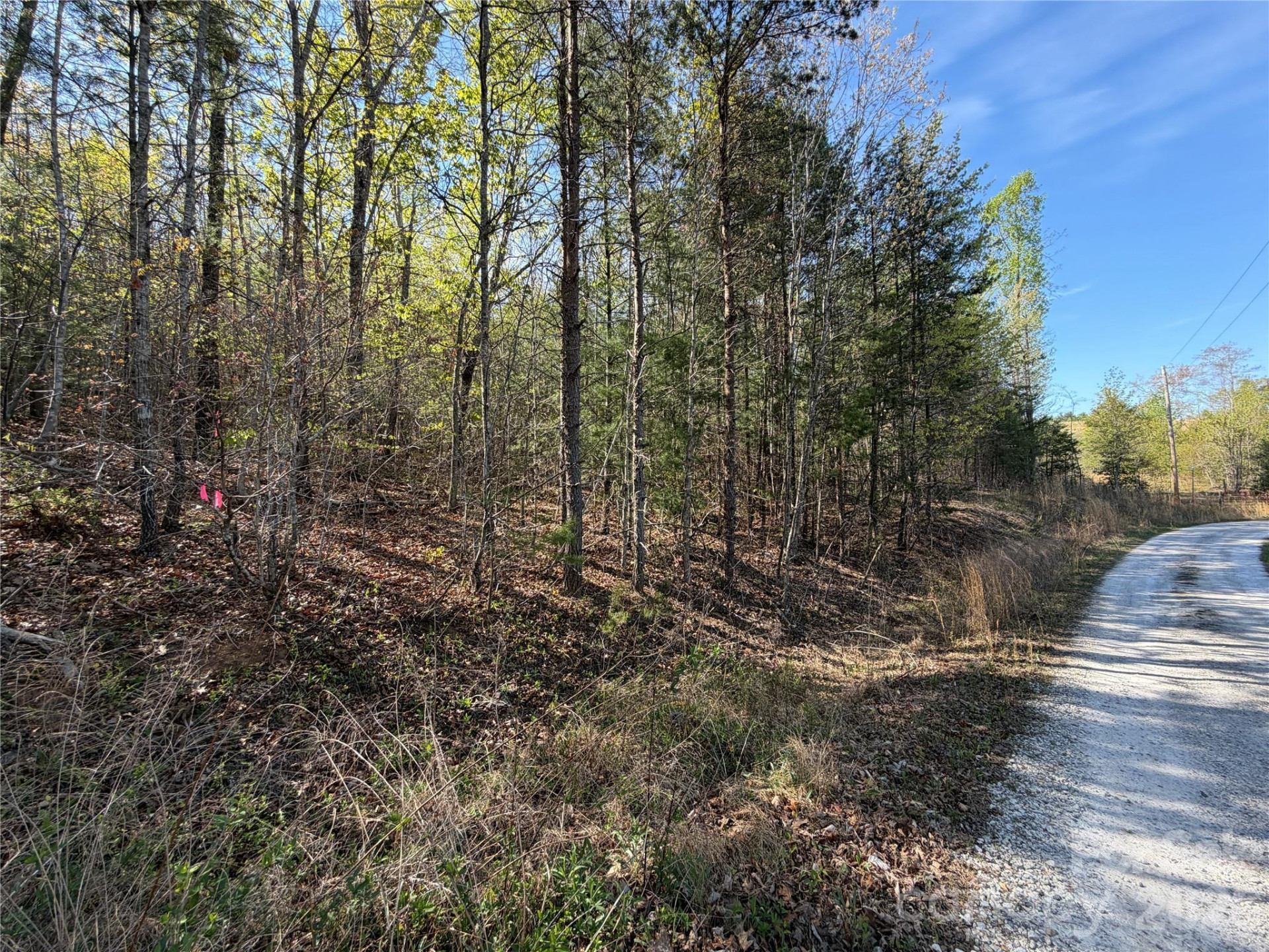 0 Running Cedar Trail - Photo 3