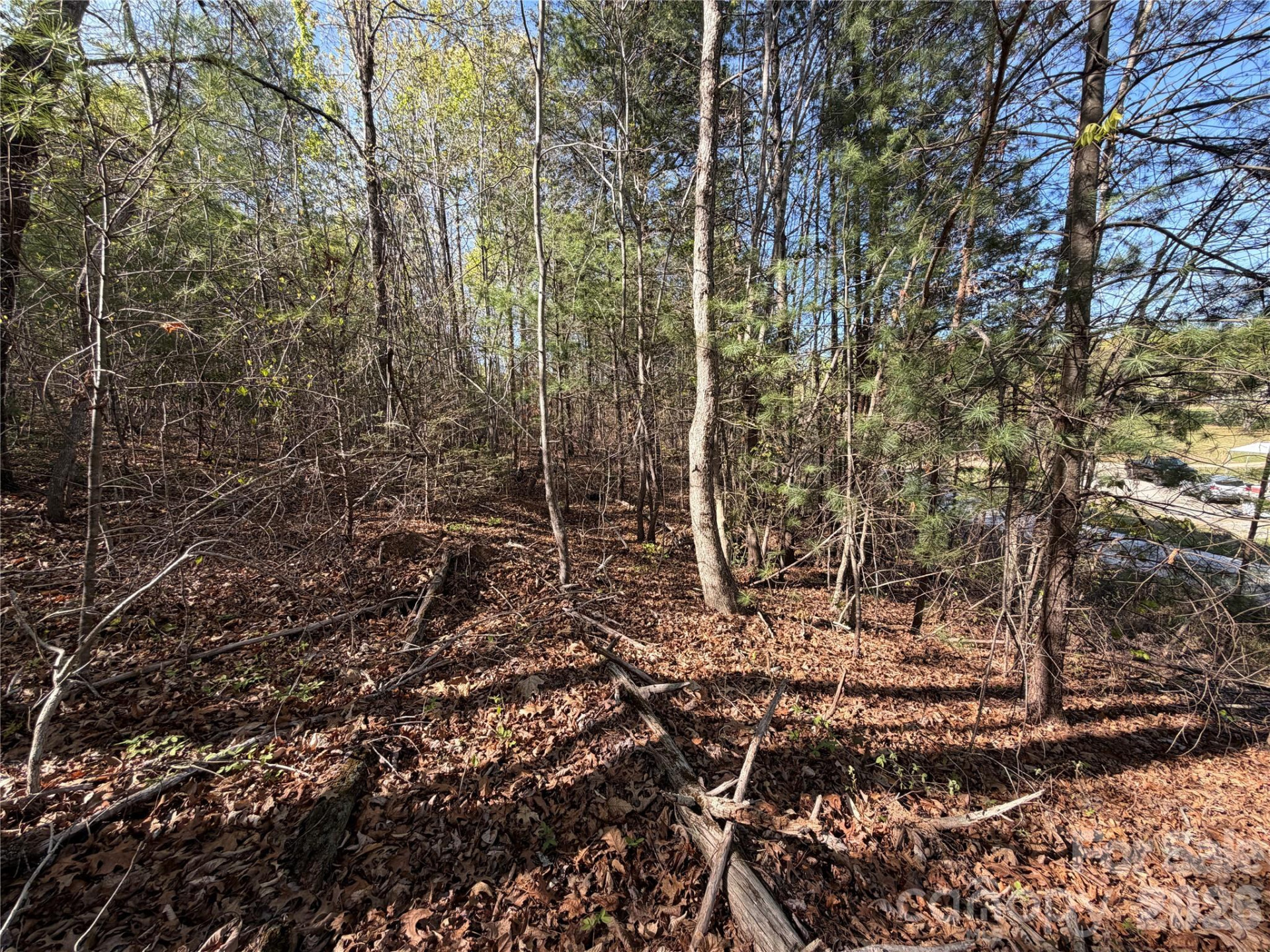 0 Running Cedar Trail - Photo 21