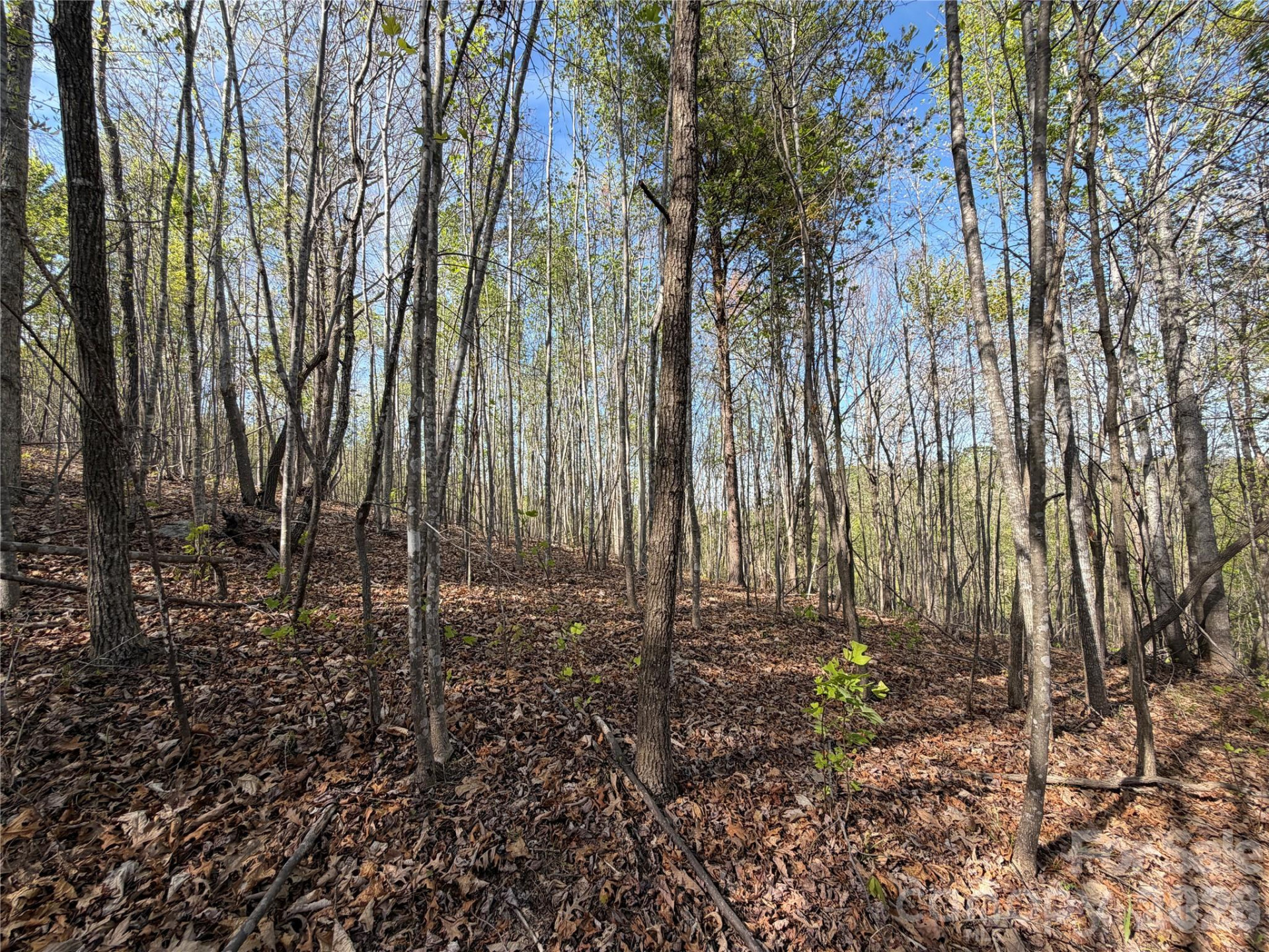 0 Running Cedar Trail - Photo 22