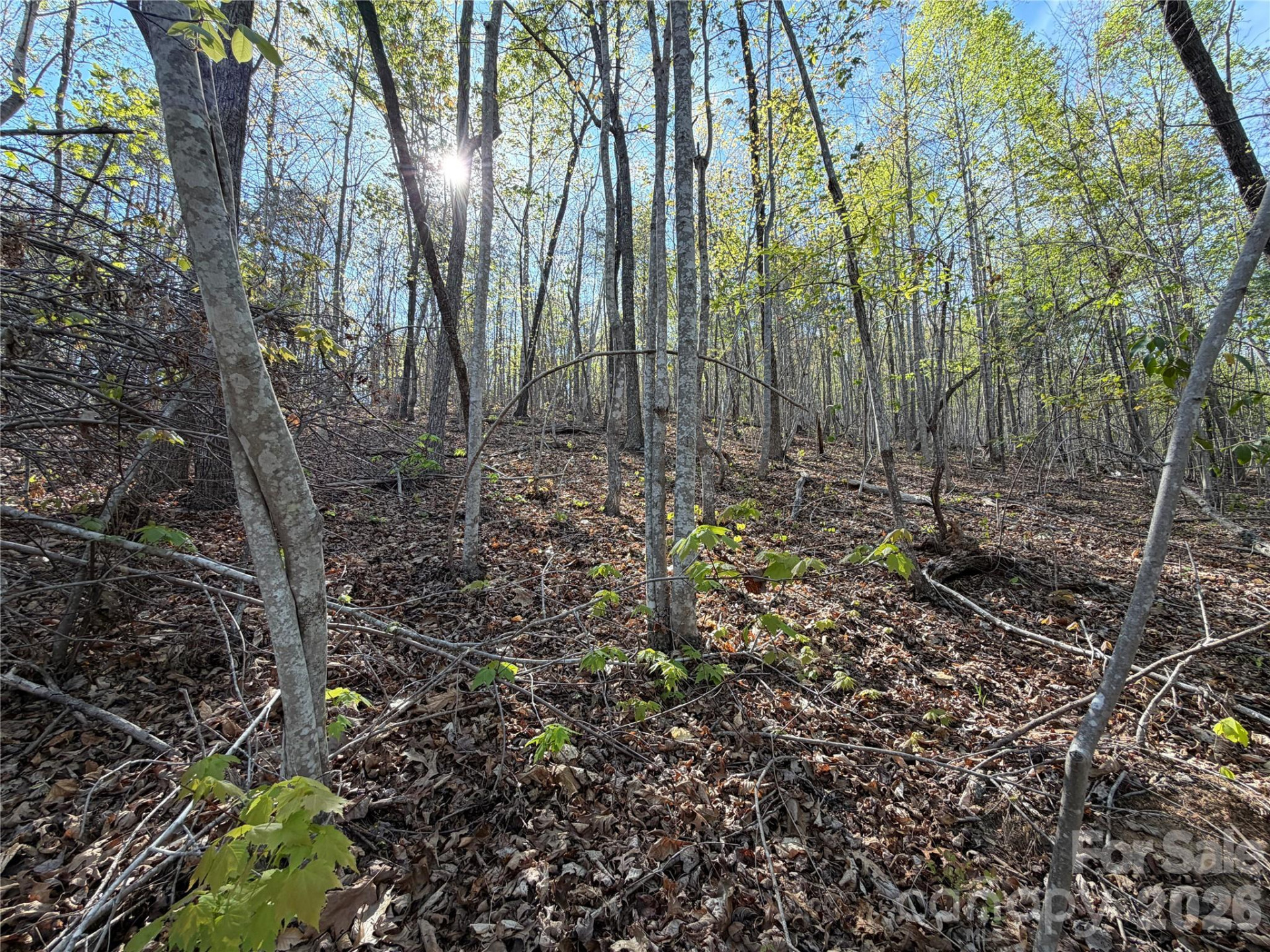 0 Running Cedar Trail - Photo 23