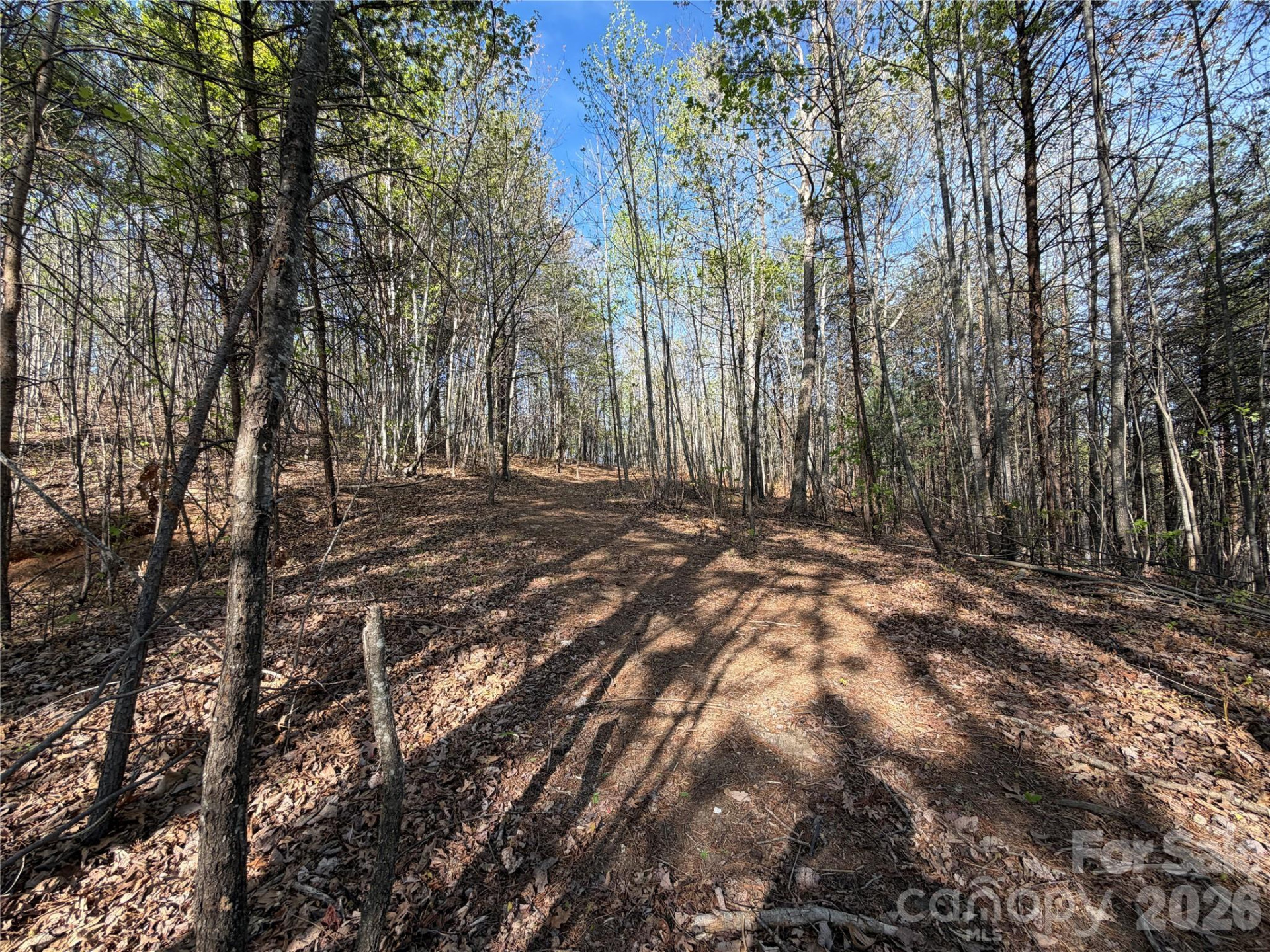 0 Running Cedar Trail - Photo 24