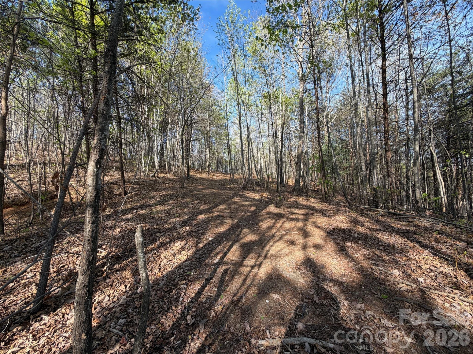 0 Denton Avenue - Photo 24