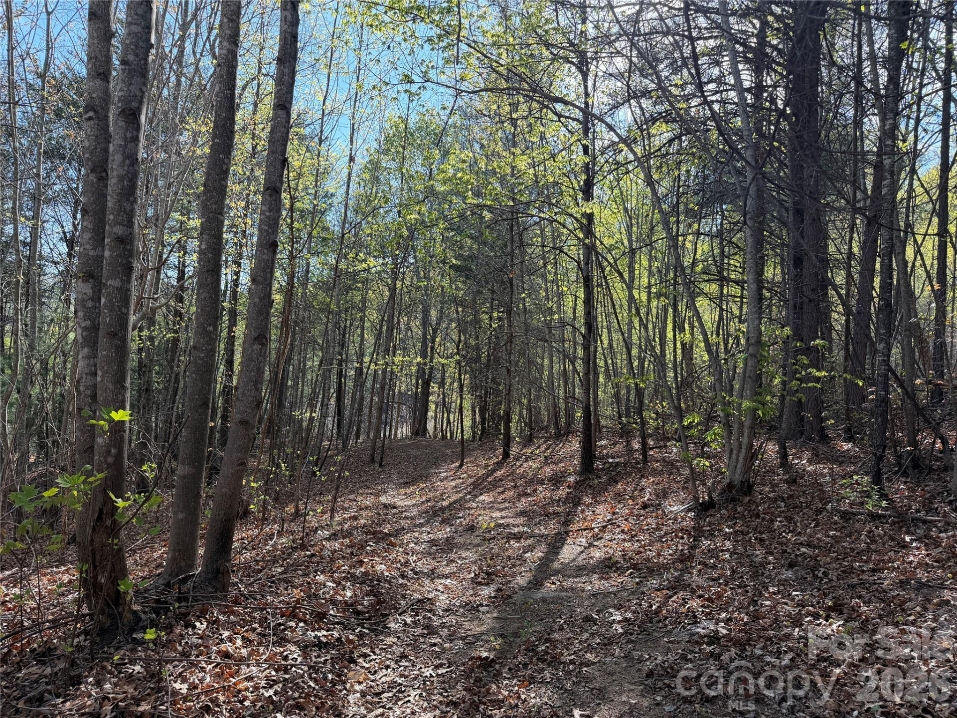 0 Running Cedar Trail - Photo 25