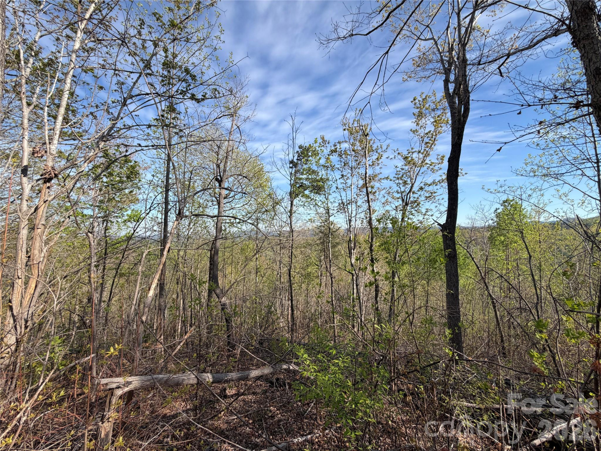 0 Running Cedar Trail - Photo 26