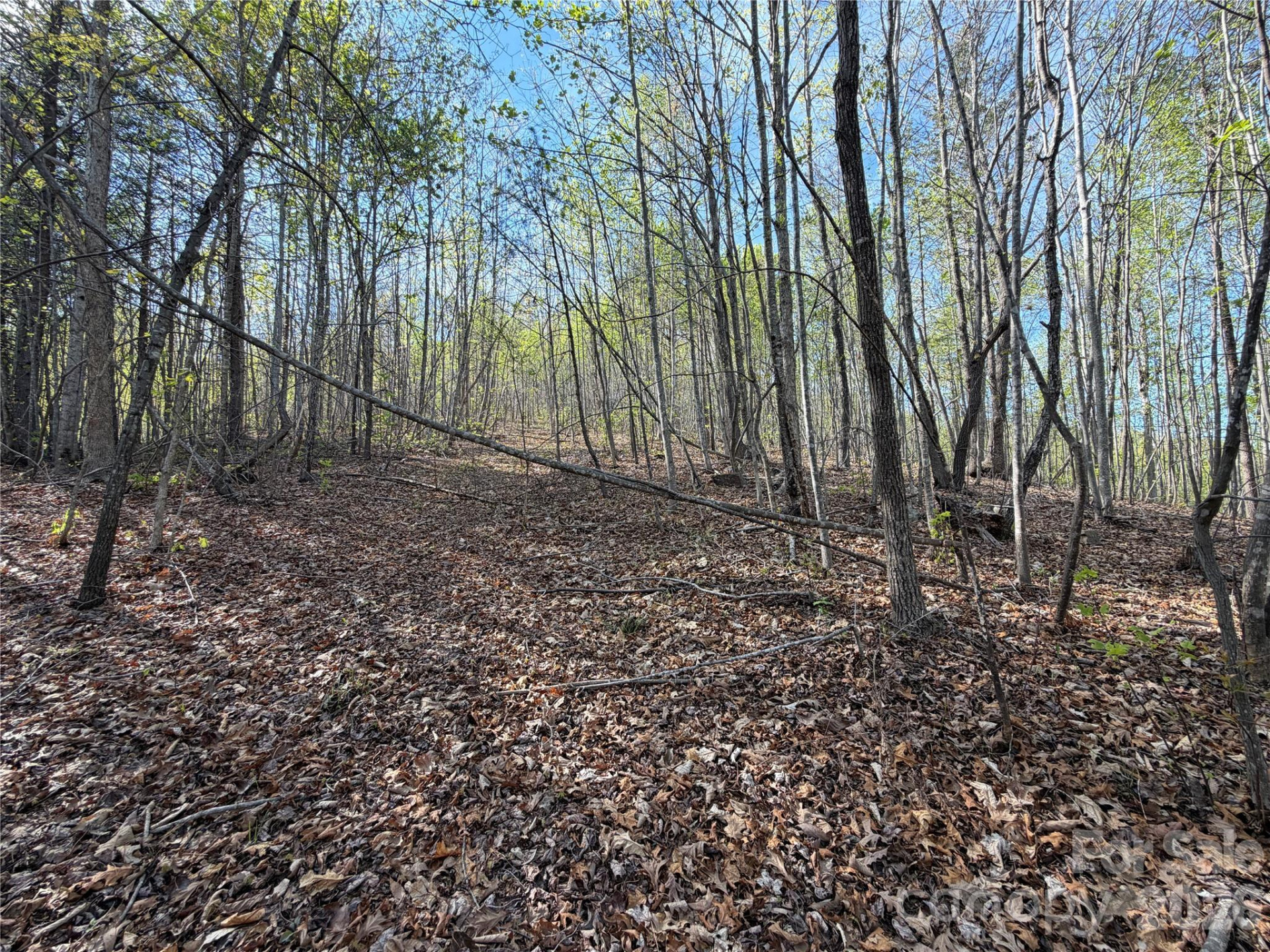 0 Running Cedar Trail - Photo 27