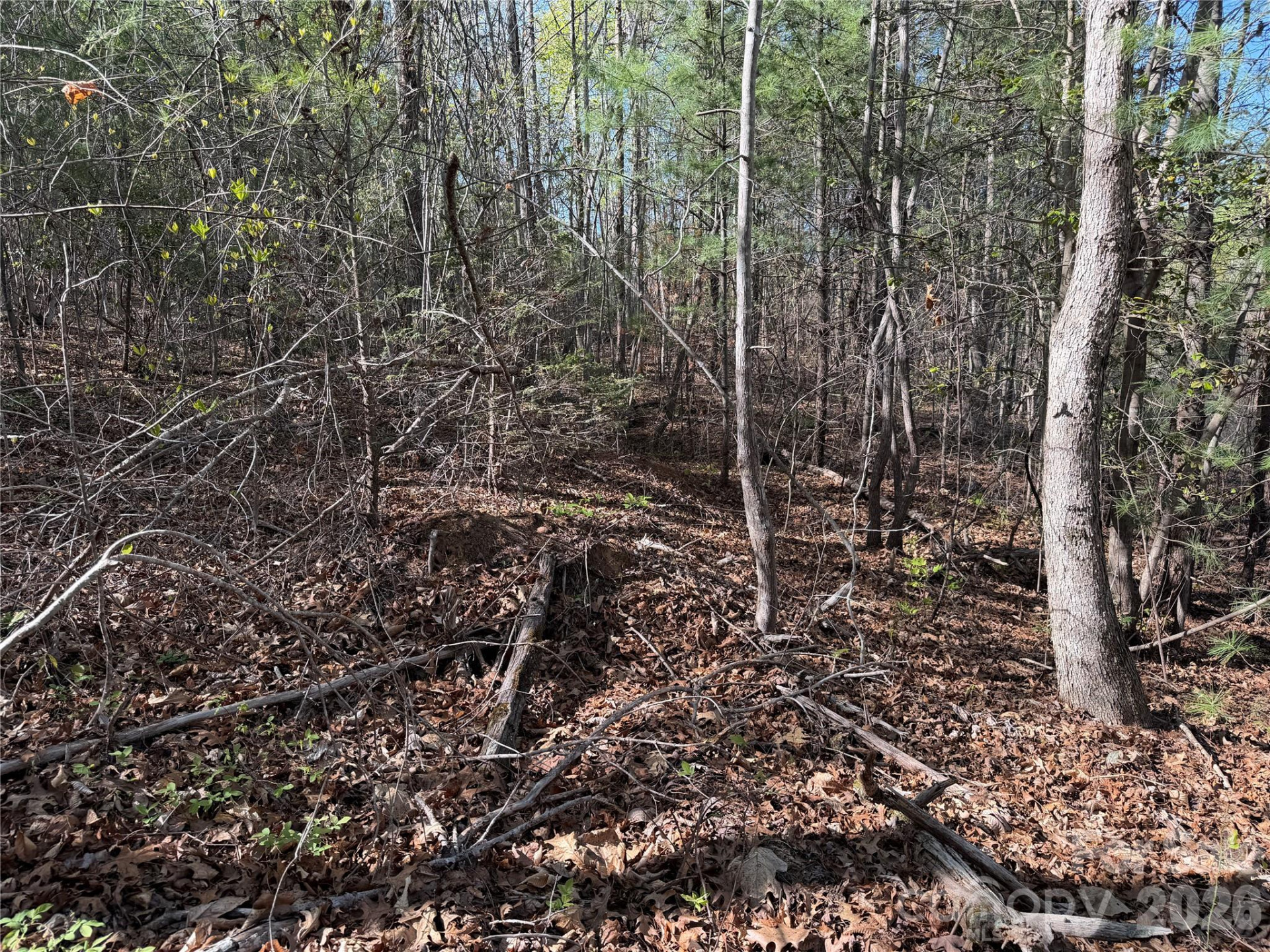 0 Running Cedar Trail - Photo 28