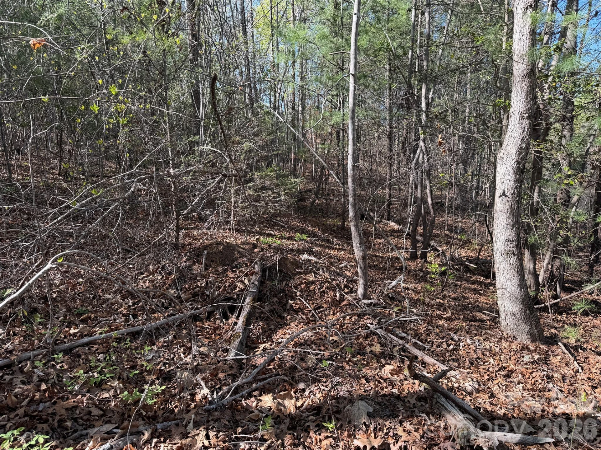 0 Denton Avenue - Photo 28