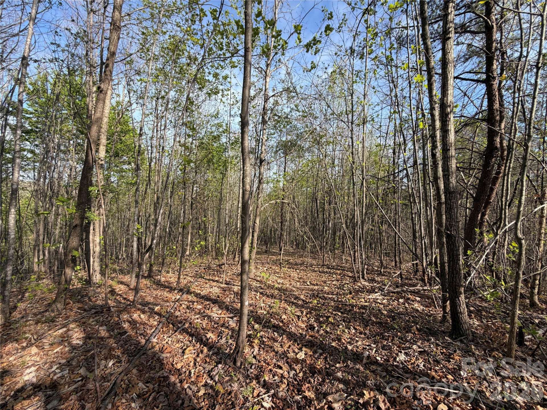 0 Running Cedar Trail - Photo 29