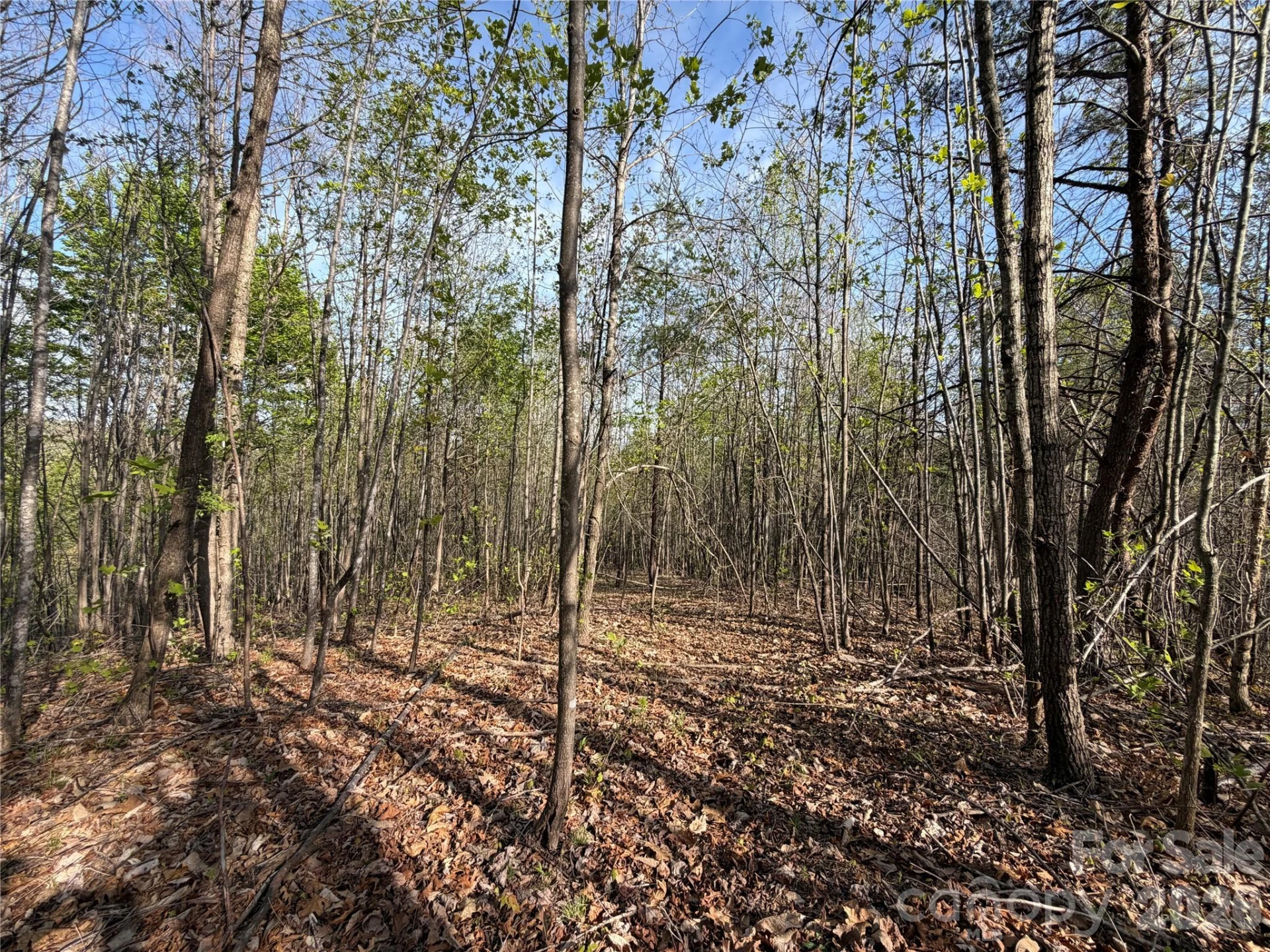 0 Denton Avenue - Photo 29