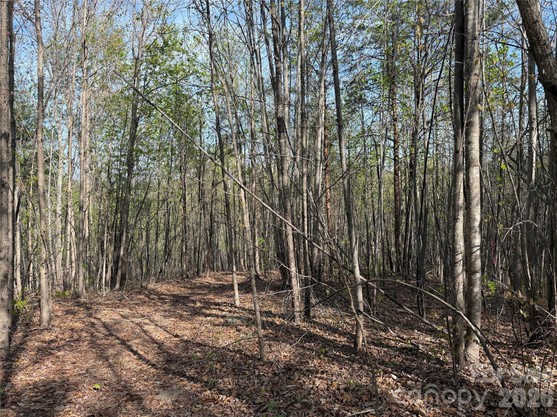0 Running Cedar Trail - Photo 30