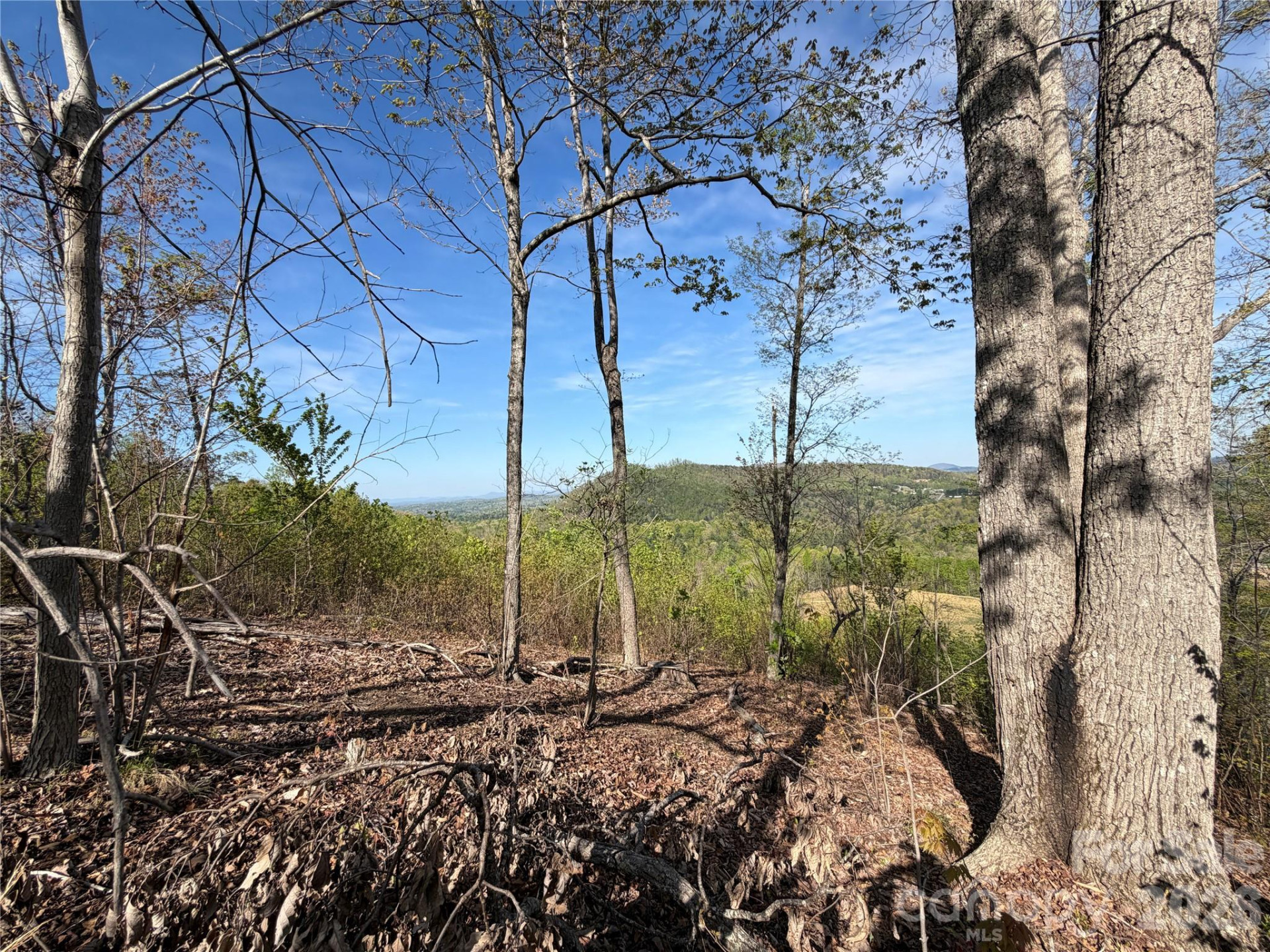 0 Running Cedar Trail - Photo 4