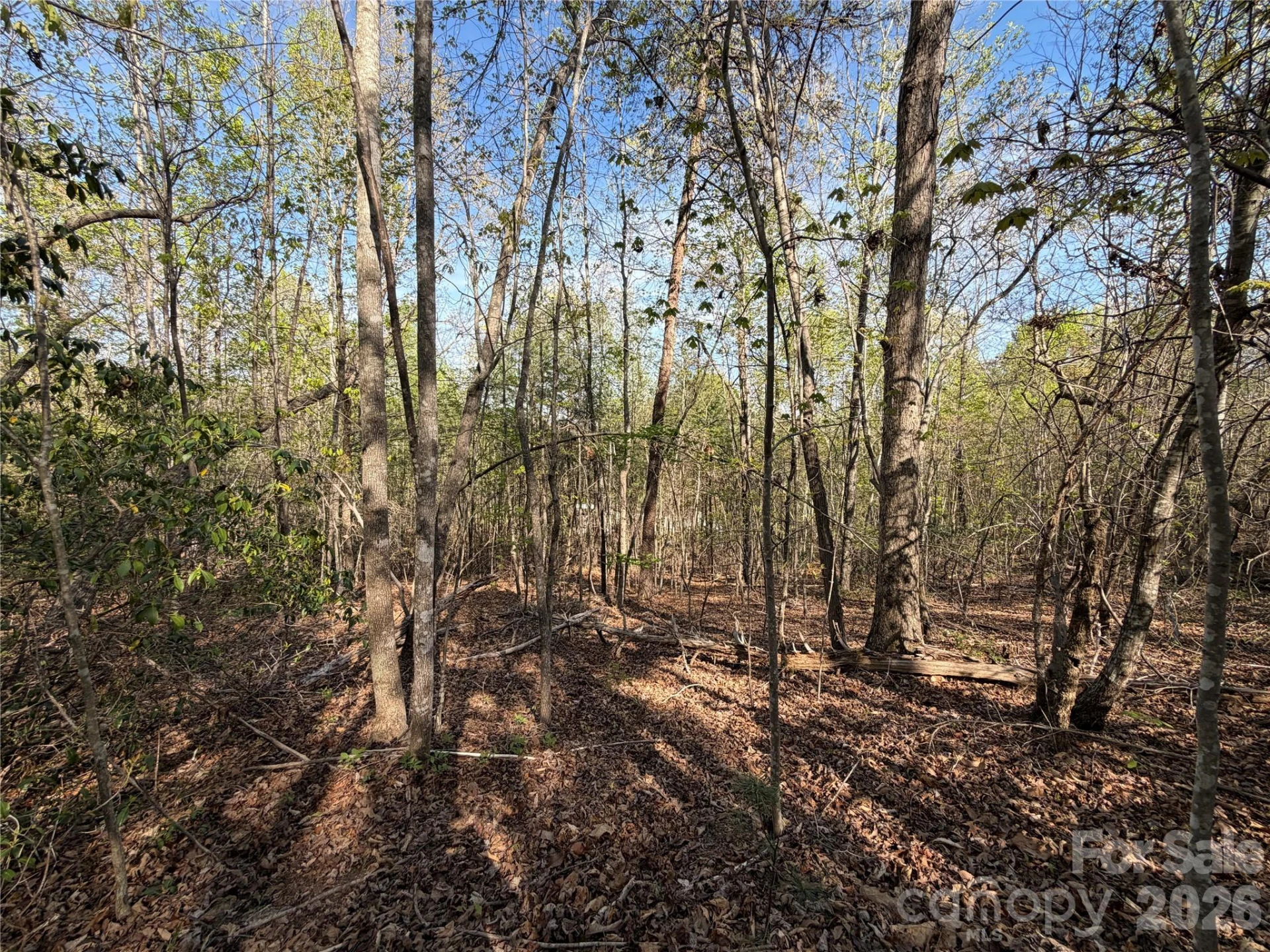 0 Denton Avenue - Photo 32