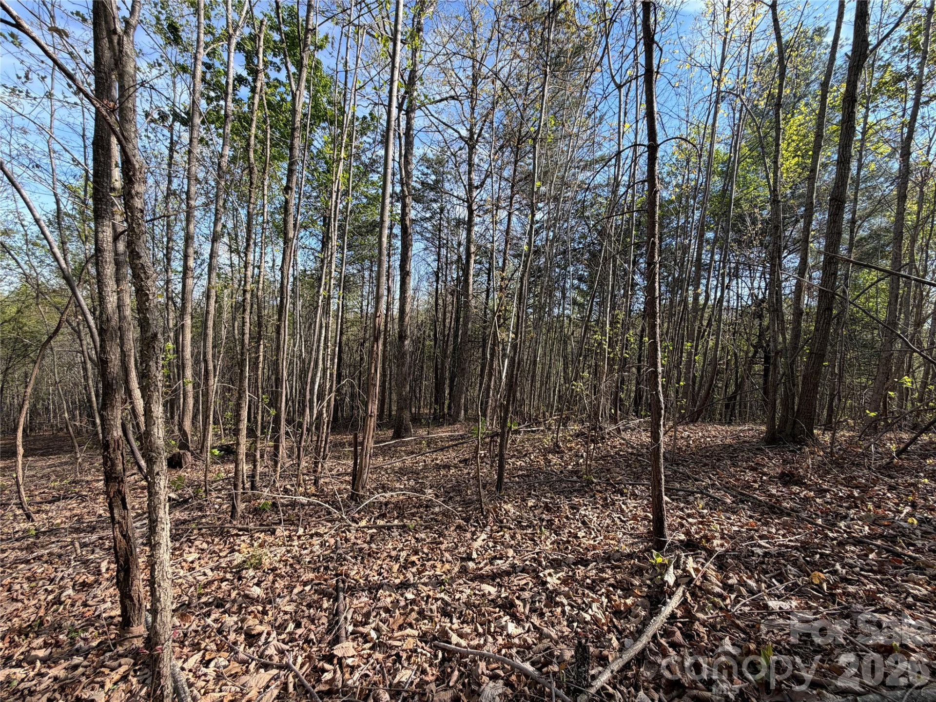 0 Running Cedar Trail - Photo 33