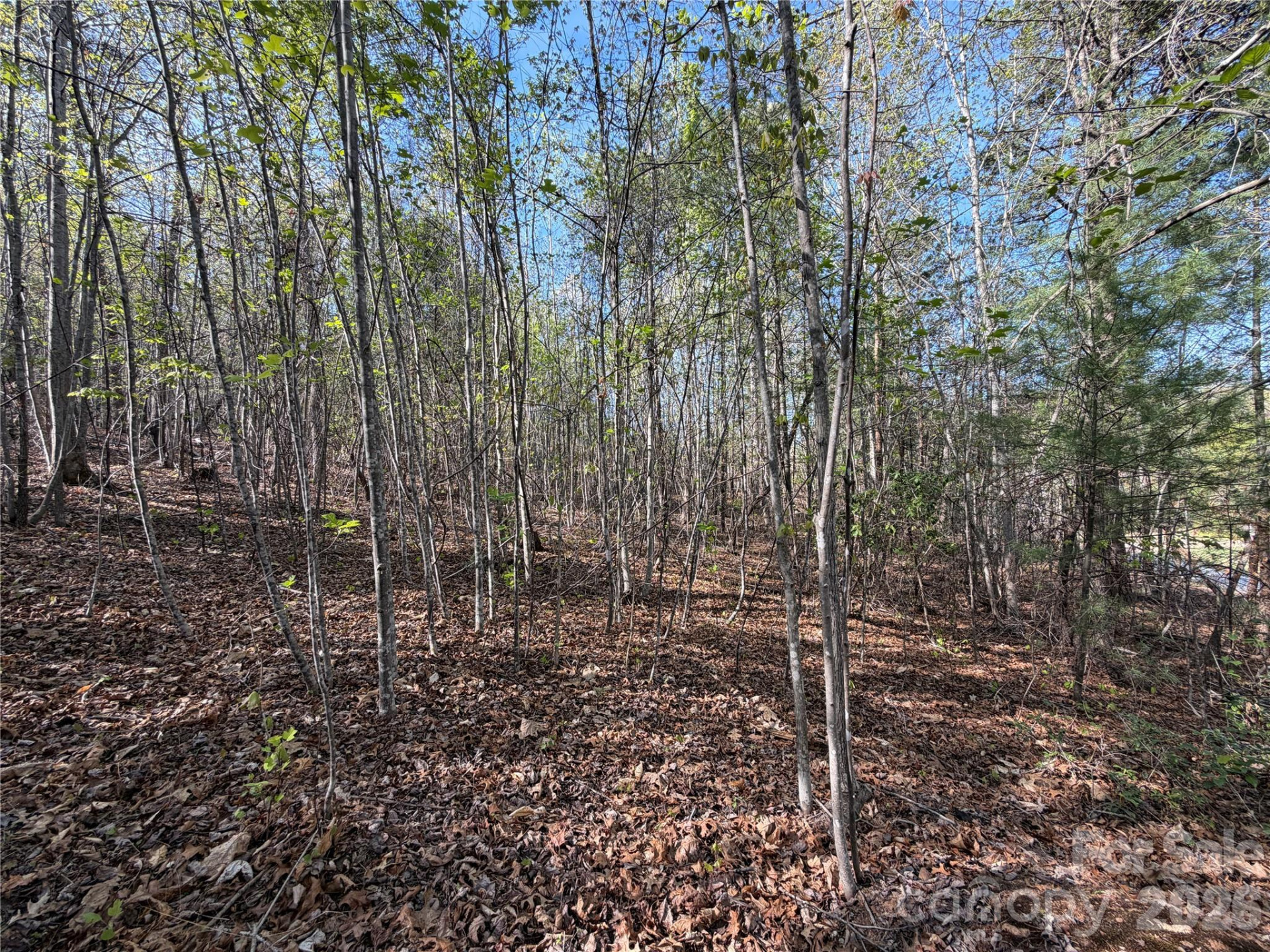 0 Running Cedar Trail - Photo 34