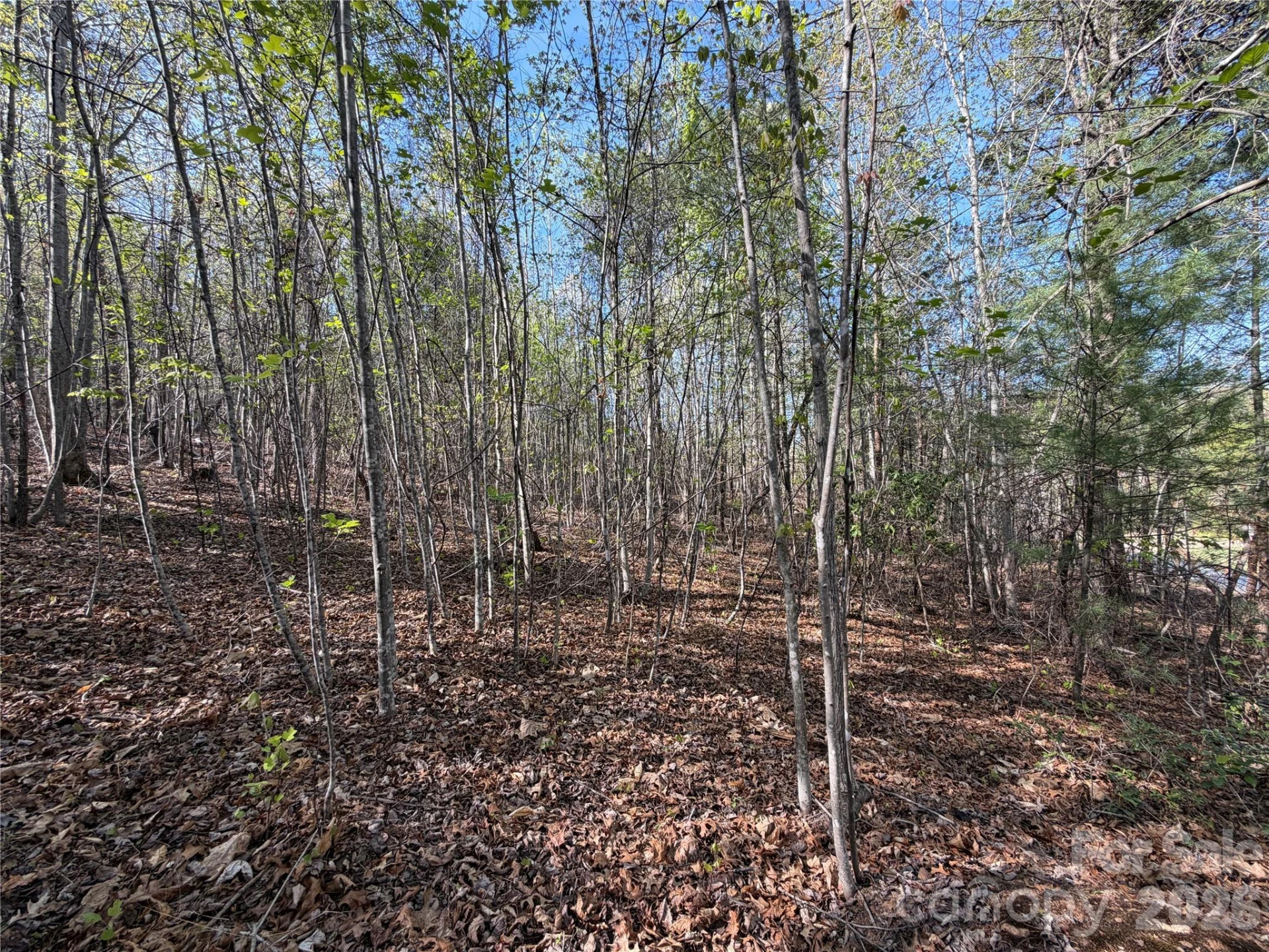 0 Denton Avenue - Photo 34