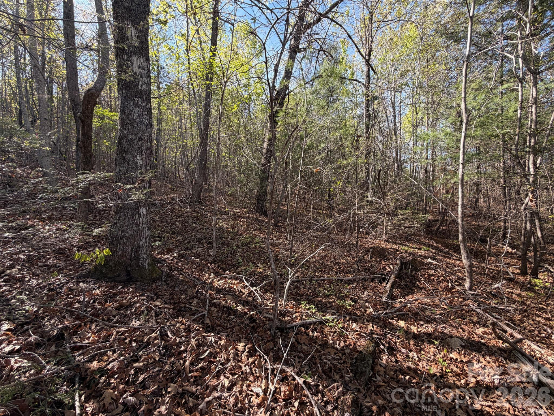 0 Running Cedar Trail - Photo 36