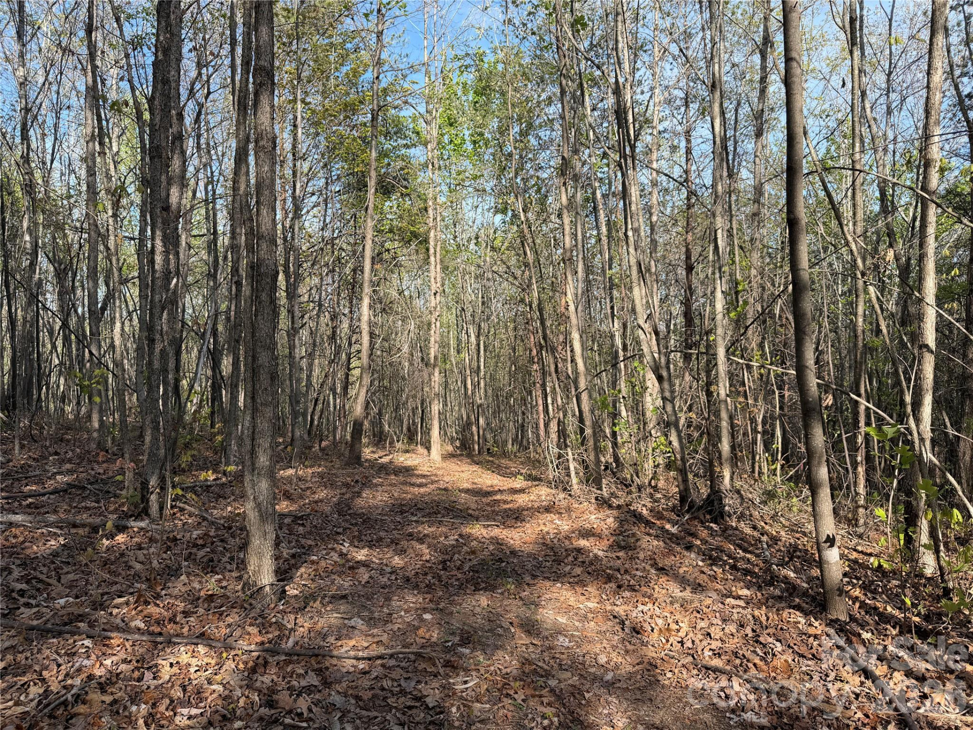 0 Running Cedar Trail - Photo 37