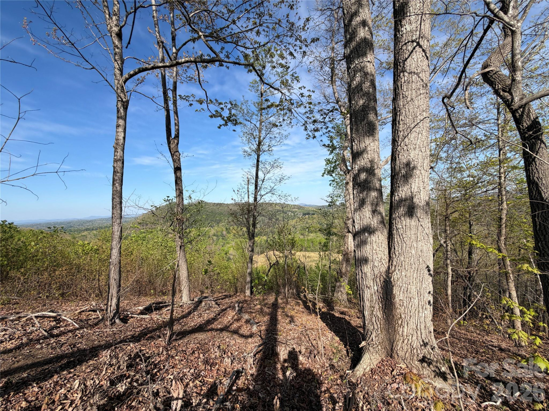 0 Running Cedar Trail - Photo 5