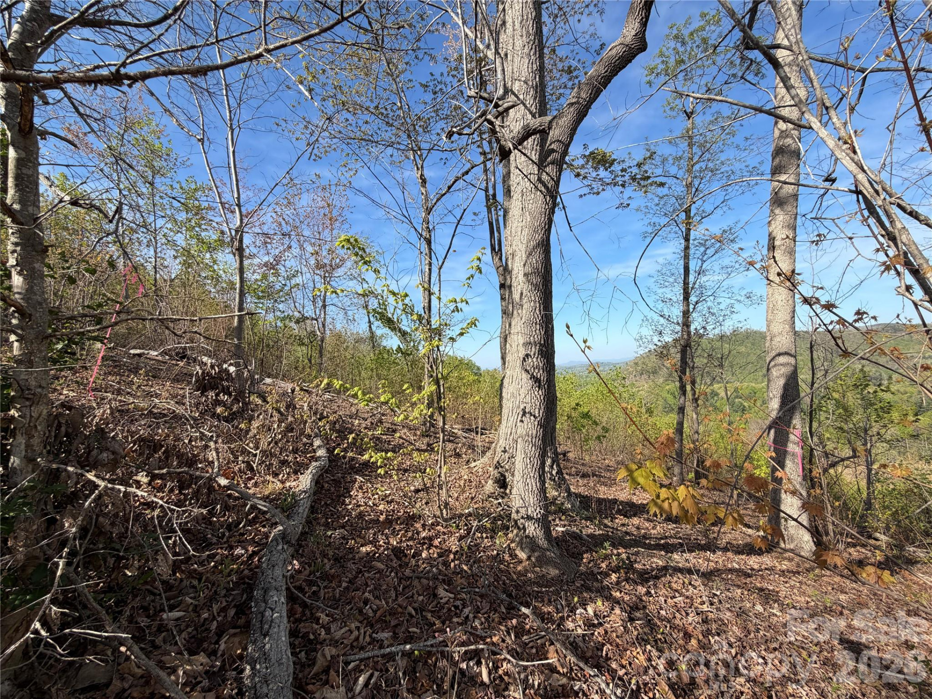 0 Running Cedar Trail - Photo 8
