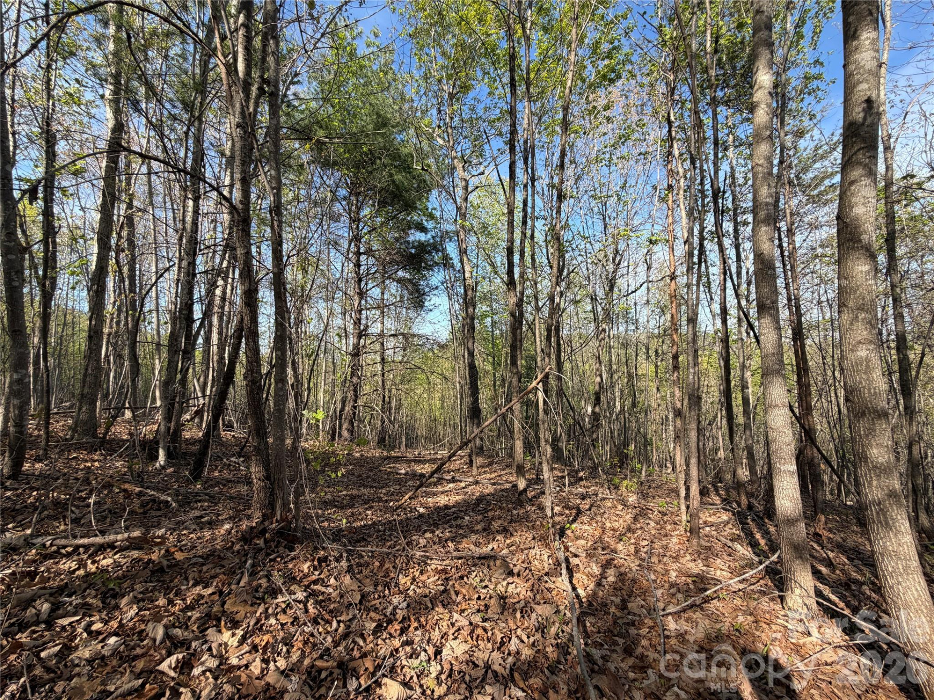 0 Running Cedar Trail - Photo 9